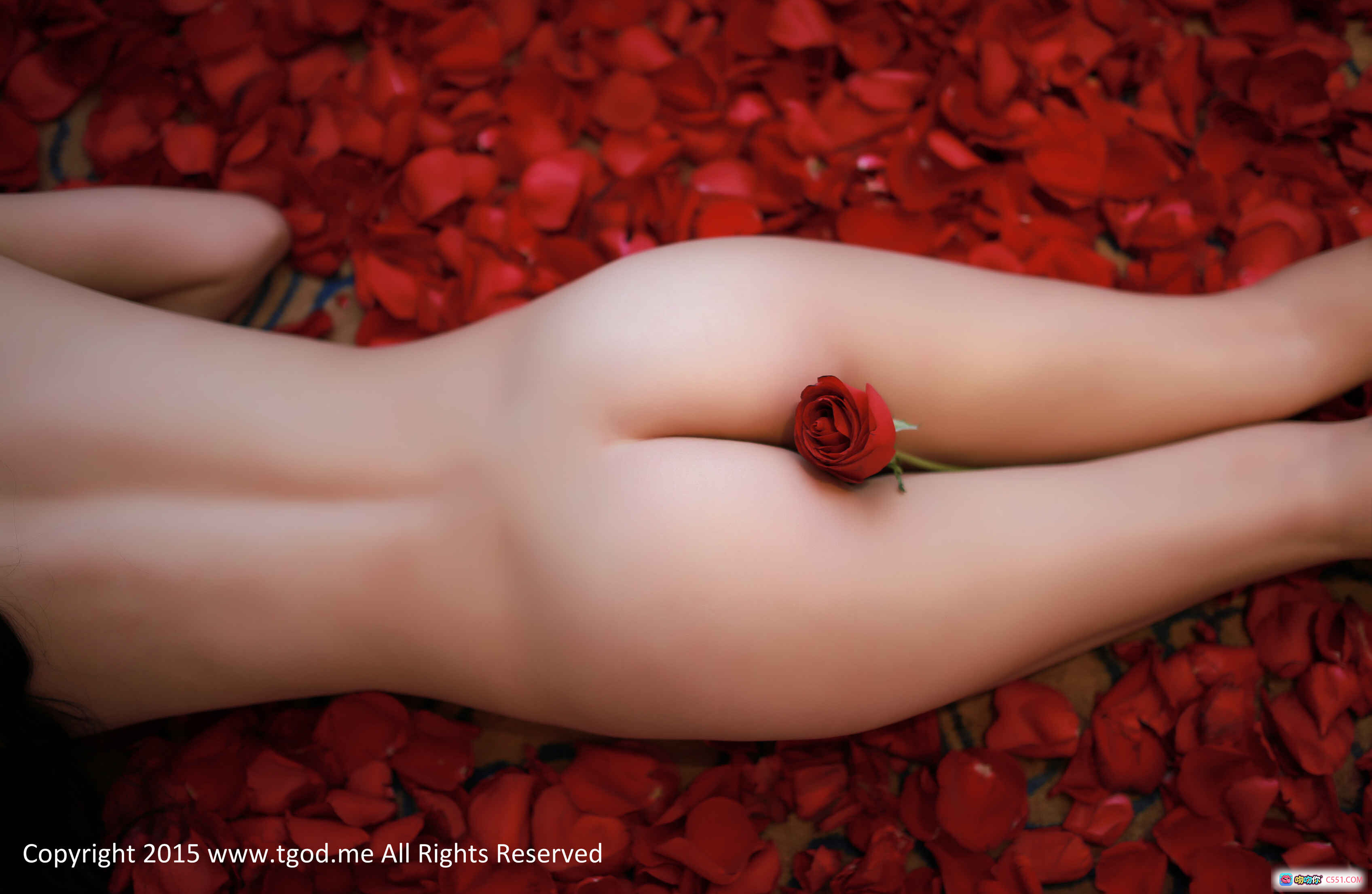 图片[8] - 玫瑰女神CyberJelly霜爷私房写真｜黑丝美臀性感诱惑｜花瓣铺地浪漫氛围｜2015经典高清图集 - 就要吻