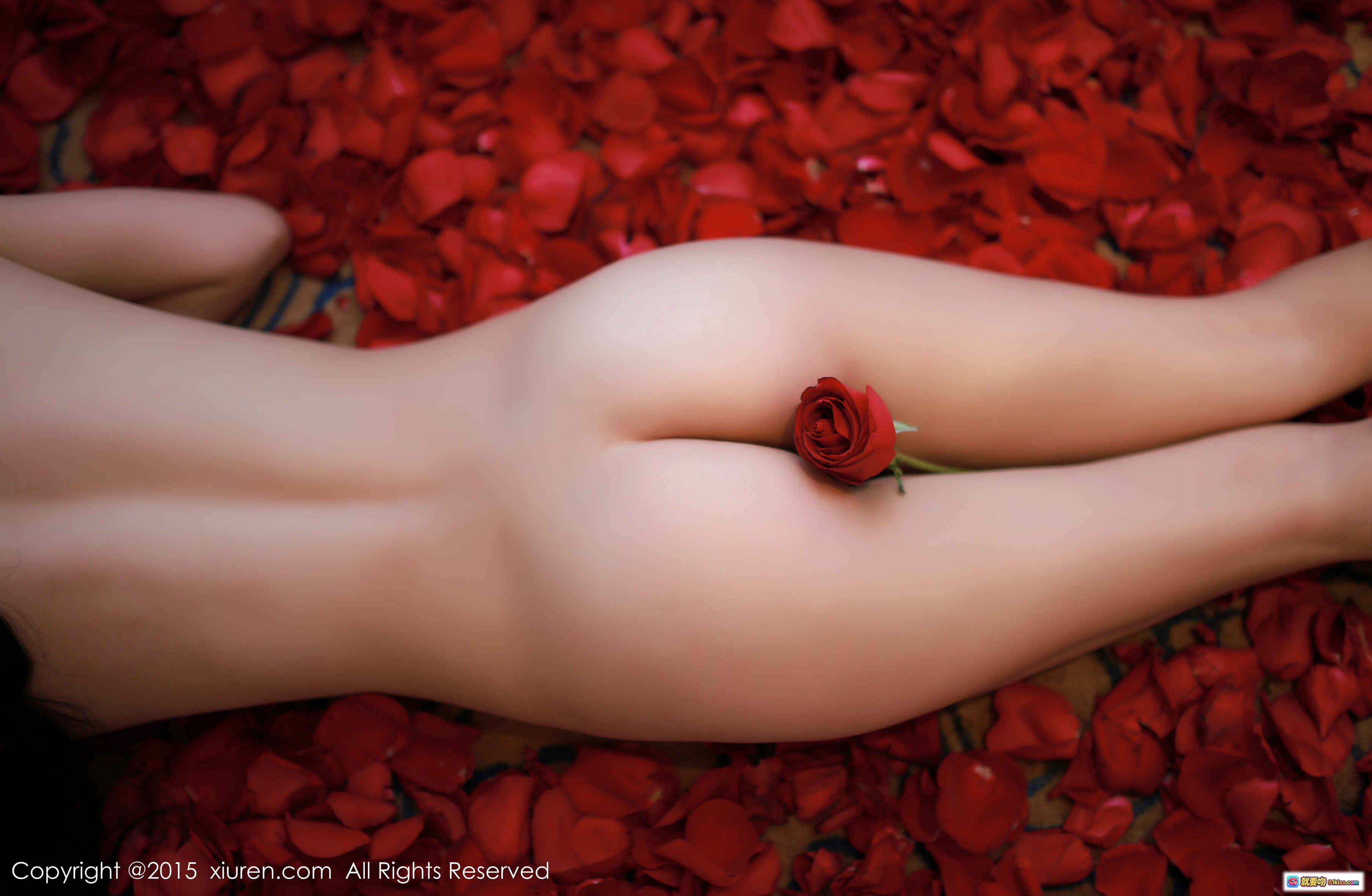 图片[10] - XIUREN秀人网2015.01.09 NO.276 CyberJelly霜爷黑蕾丝内衣玫瑰花瓣写真63P高清美图 - 就要吻