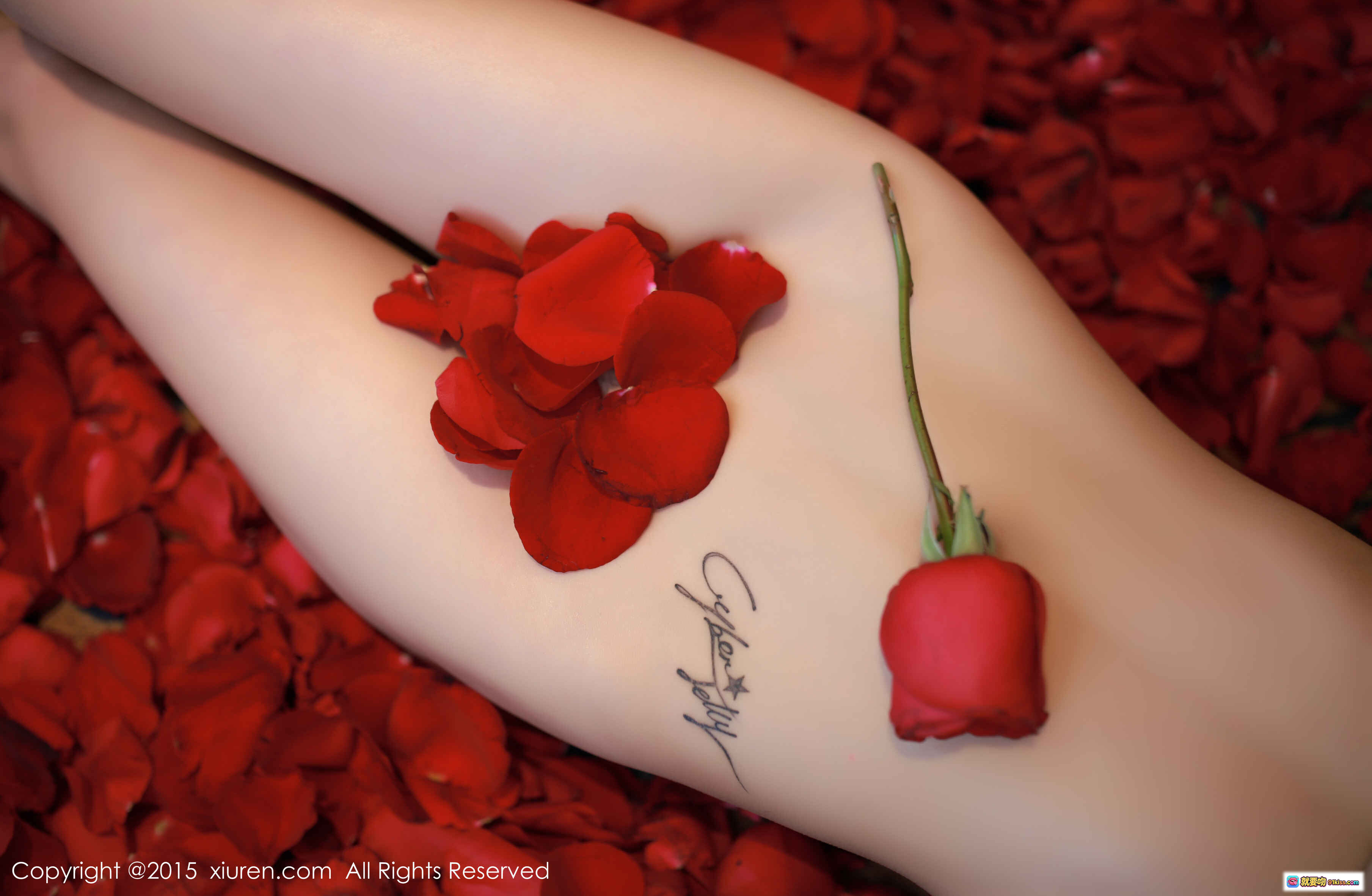 图片[5] - XIUREN秀人网2015.01.09 NO.276 CyberJelly霜爷黑蕾丝内衣玫瑰花瓣写真63P高清美图 - 就要吻