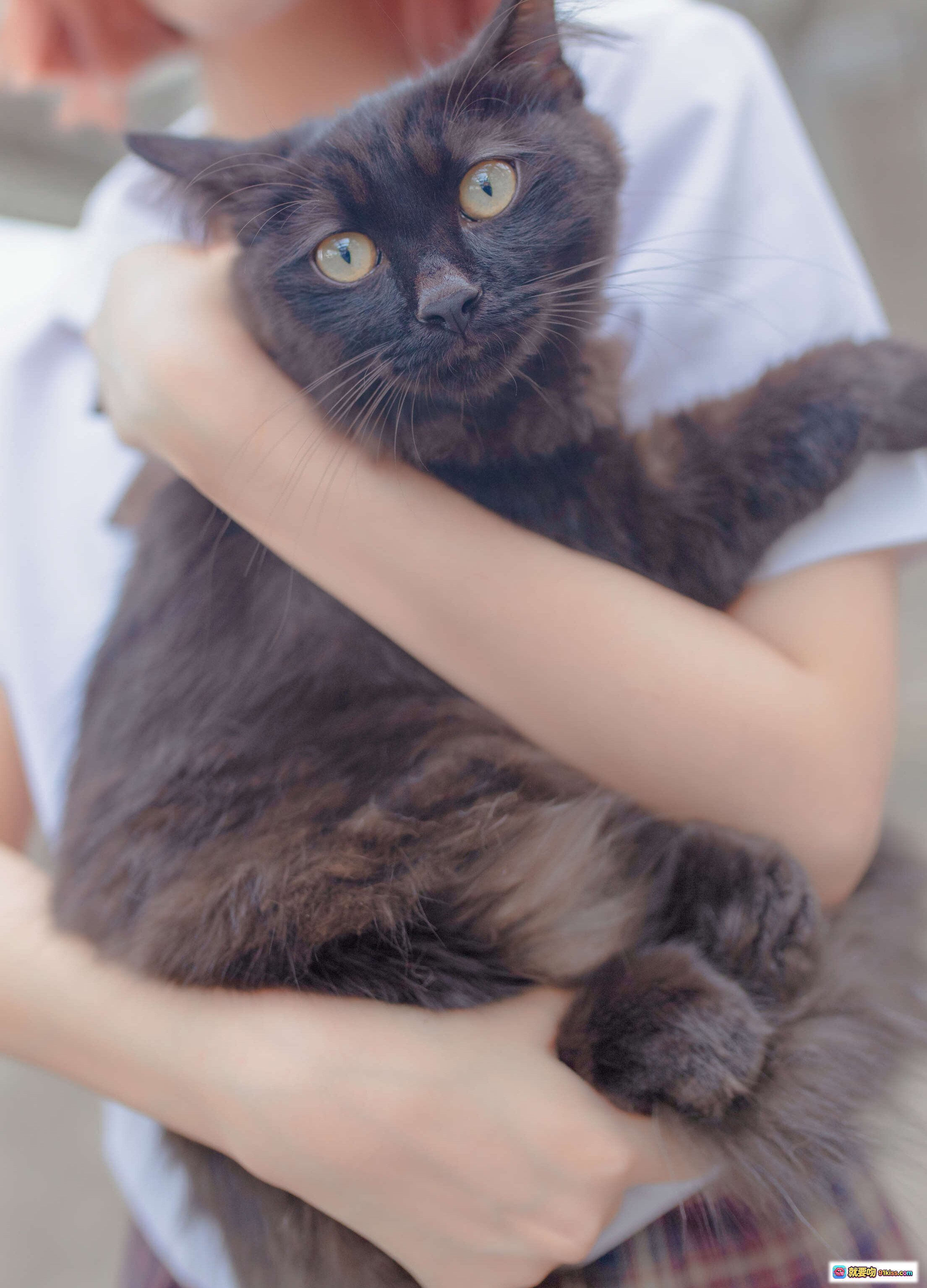 黑猫抱抱温柔眼神萌宠日常治愈系猫咪写真少女心爆棚宠物摄影精选 - 就要吻