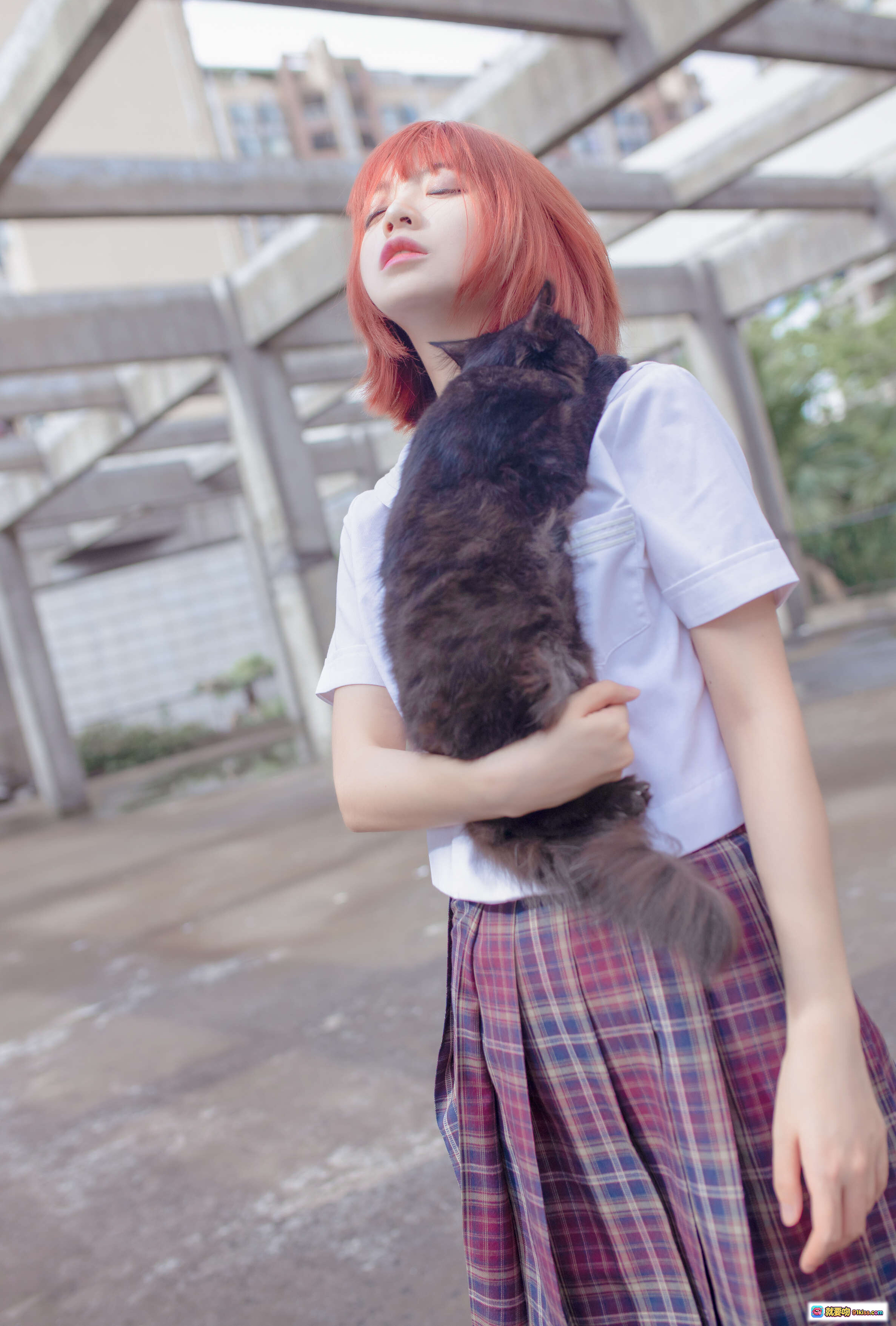 图片[7] - 黑猫抱抱温柔眼神萌宠日常治愈系猫咪写真少女心爆棚宠物摄影精选 - 就要吻