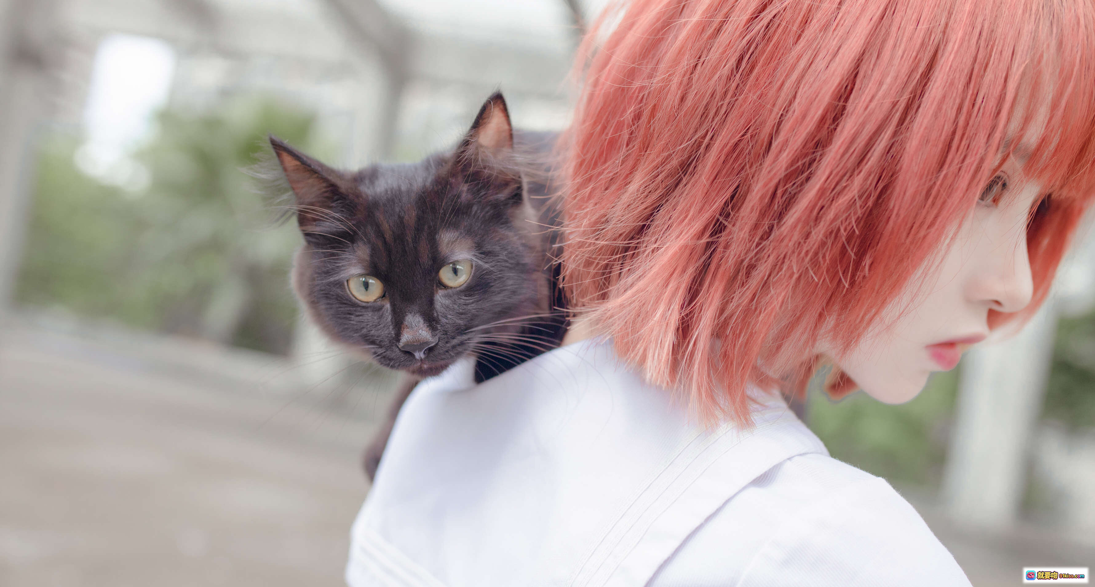 图片[3] - 黑猫抱抱温柔眼神萌宠日常治愈系猫咪写真少女心爆棚宠物摄影精选 - 就要吻