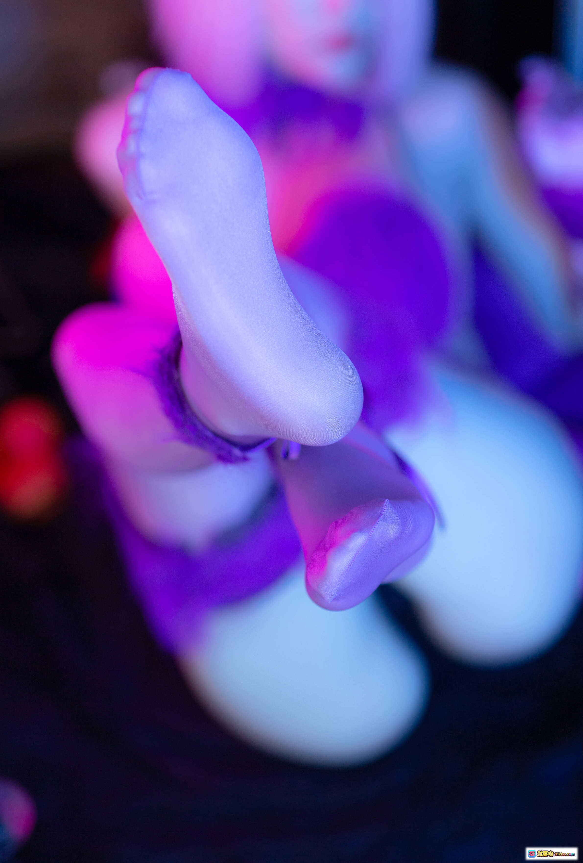 图片[3] - 万圣节玛修COS写真｜粉发紫羽兔耳装｜起司块wii NO.026｜41P高清图集 - 就要吻