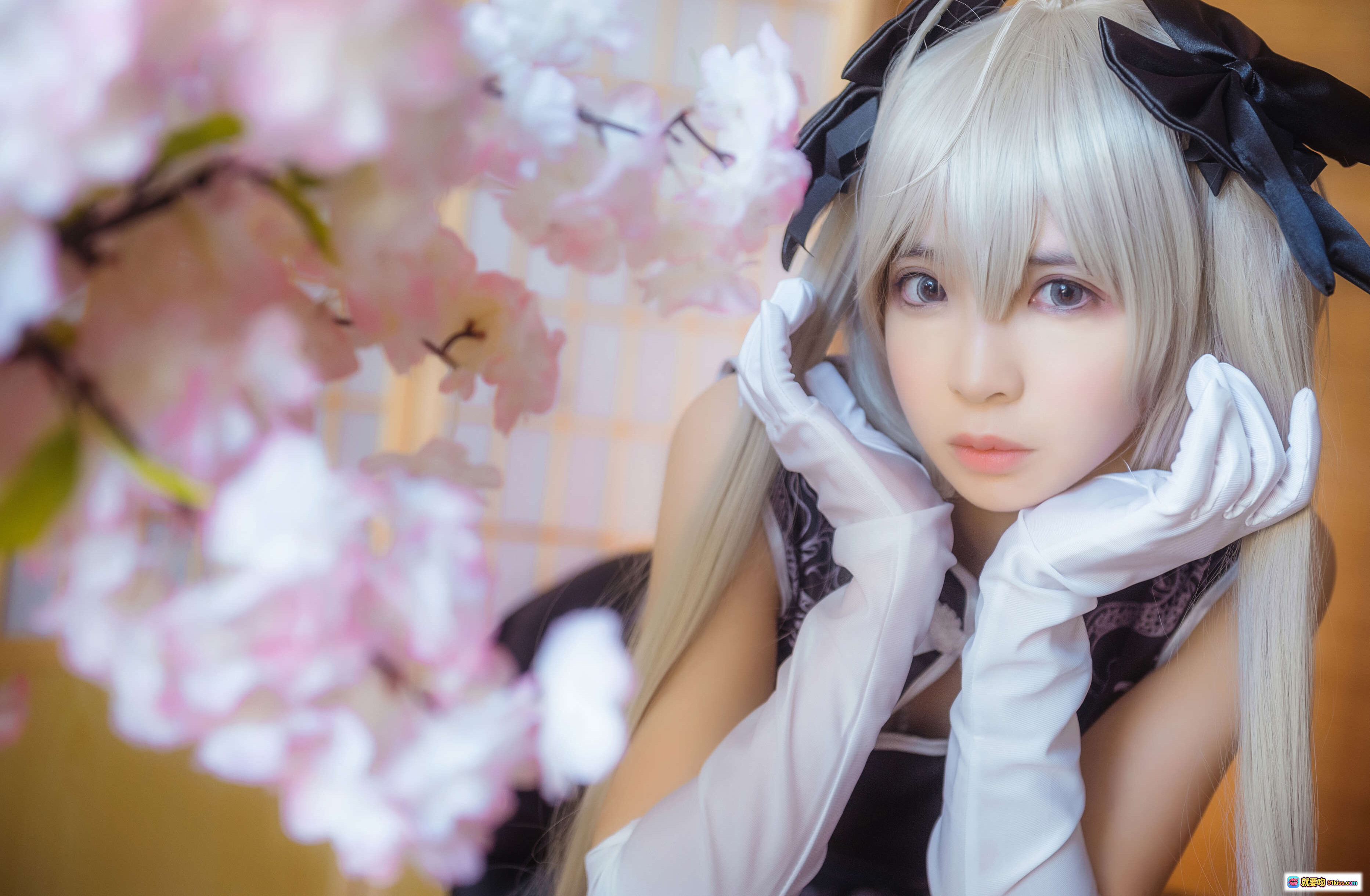 图片[3] - 疯猫ss NO.015 穹妹旗袍写真 | 白发少女日系和风cos | 樱花背景榻榻米场景 | 24P高清图集 - 就要吻