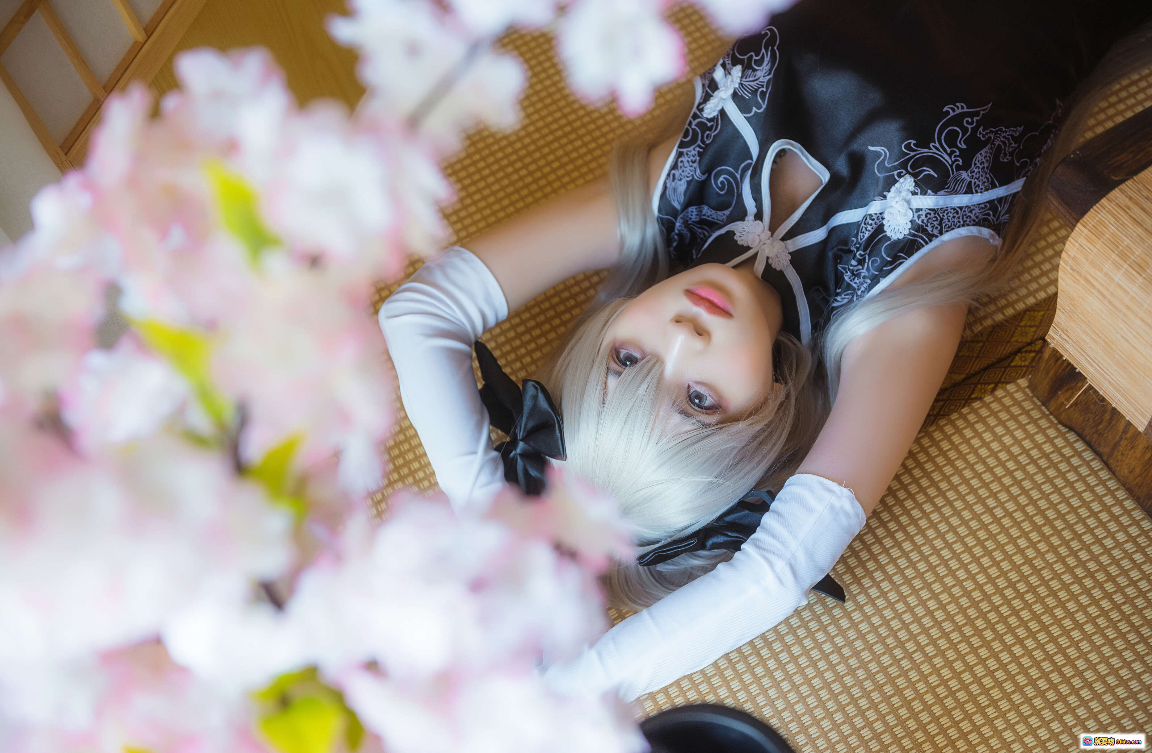 疯猫ss NO.015 穹妹旗袍写真 | 白发少女日系和风cos | 樱花背景榻榻米场景 | 24P高清图集 - 就要吻