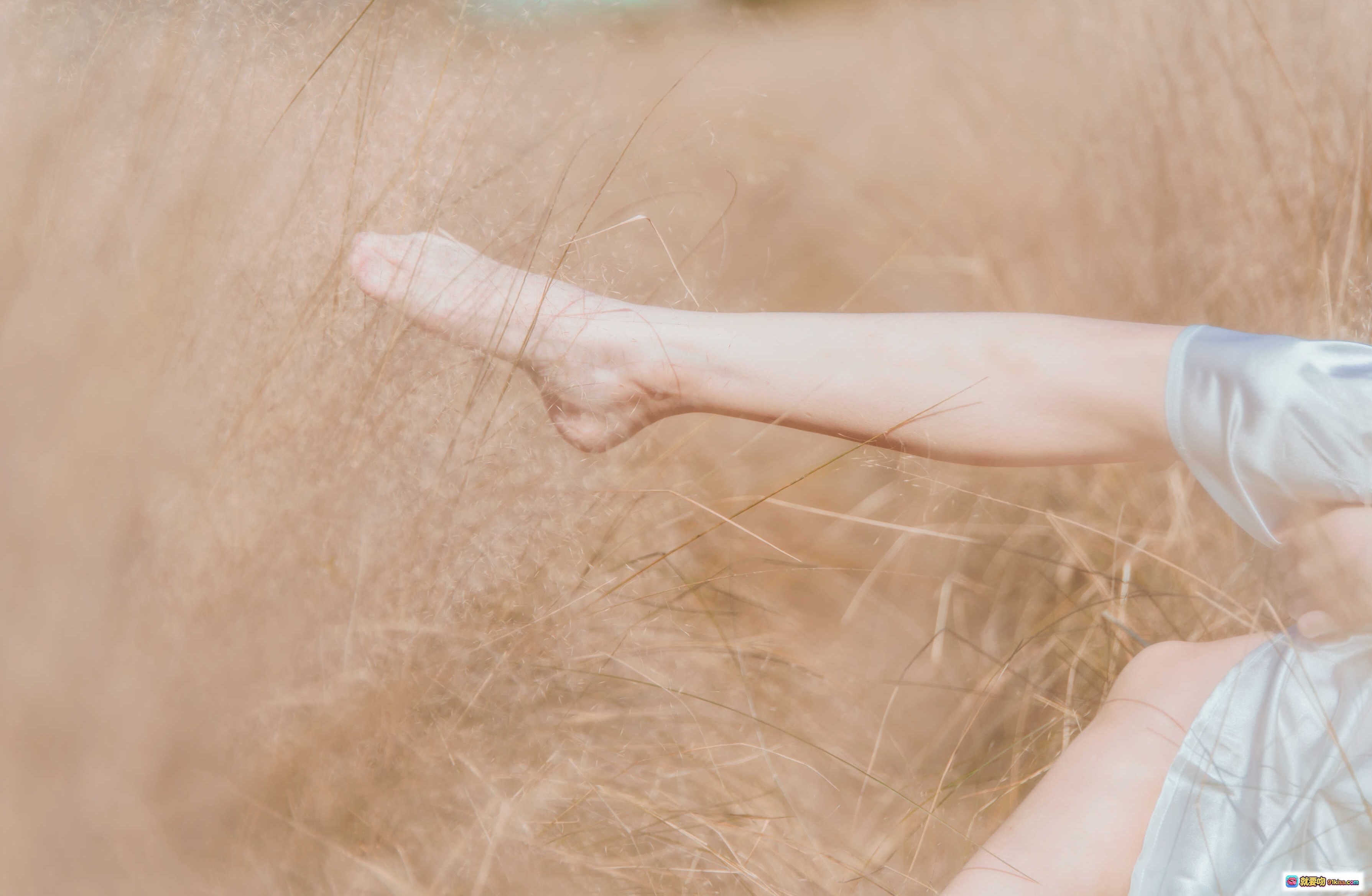 图片[3] - 桜桃喵076原野浪漫写真｜蕾丝内衣+薄纱裙+自然光草地美腿特写｜49P高清图集 - 就要吻