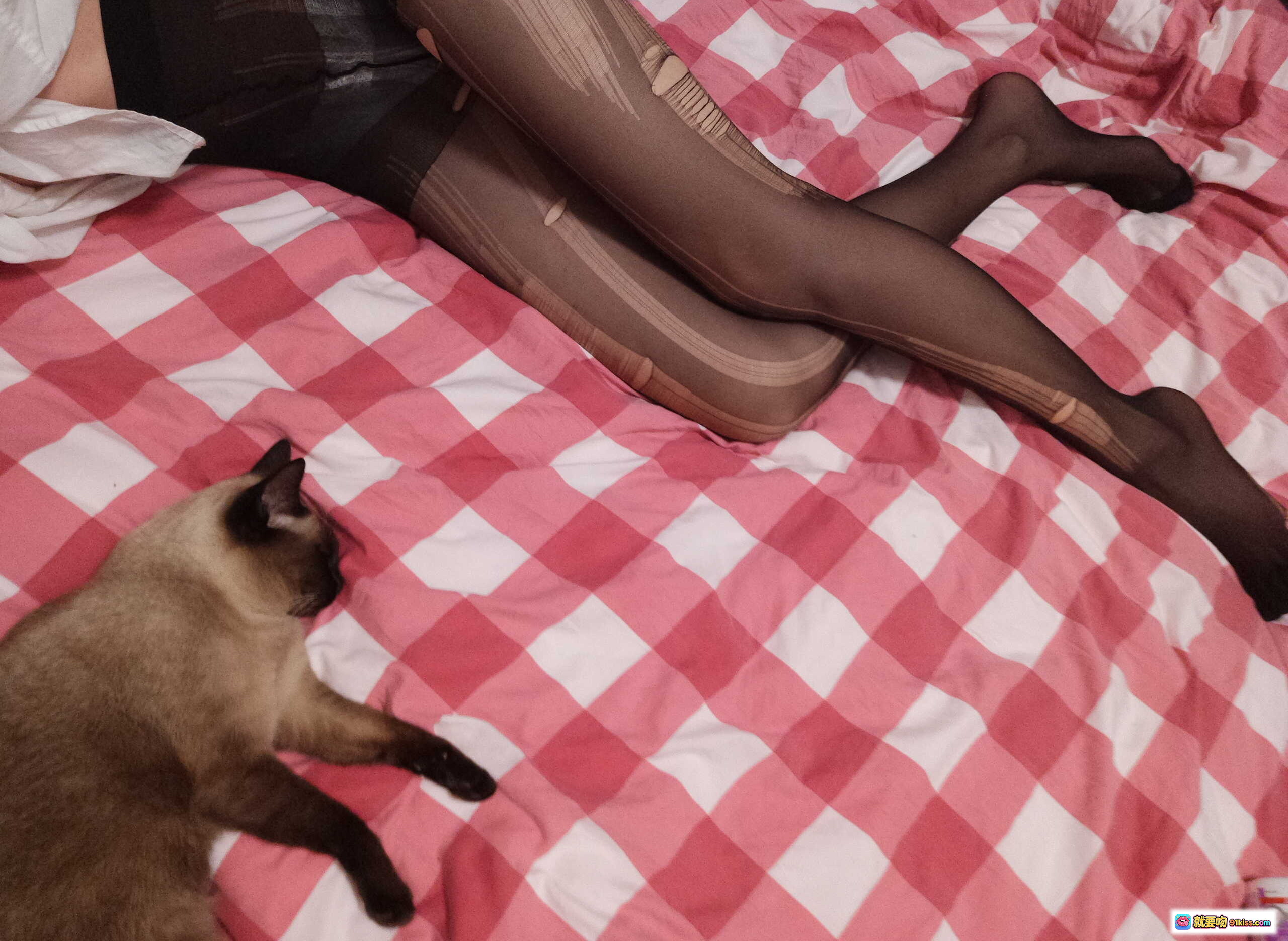 图片[1] - 眼酱大魔王w NO.015 黑丝美腿写真 13P高清图集 猫咪陪睡粉白格床单 精致私房摄影 - 就要吻