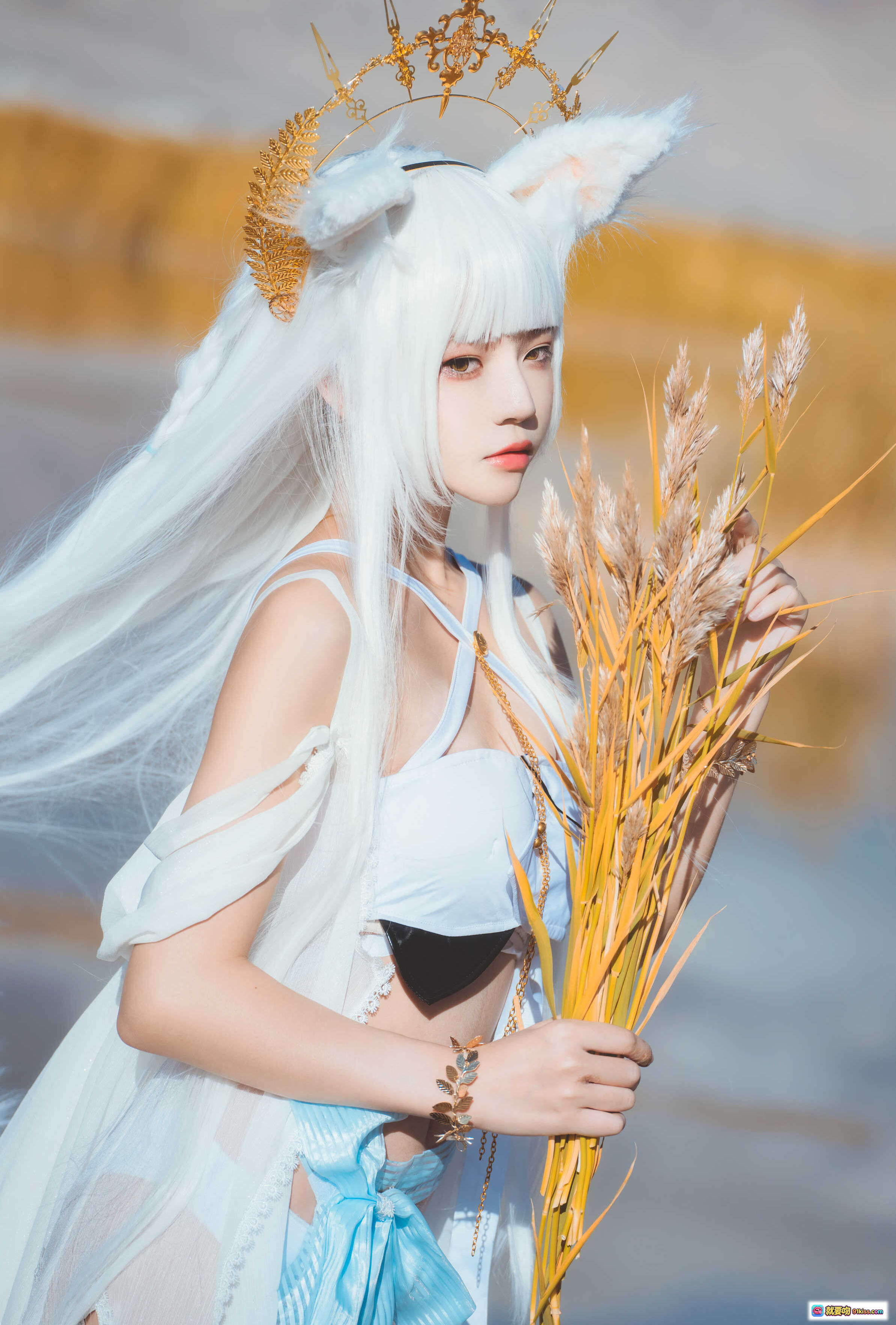 图片[2] - 桜桃喵白金cosplay明日方舟角色 金发猫耳皇冠蓝白裙装草原山景写真 - 就要吻