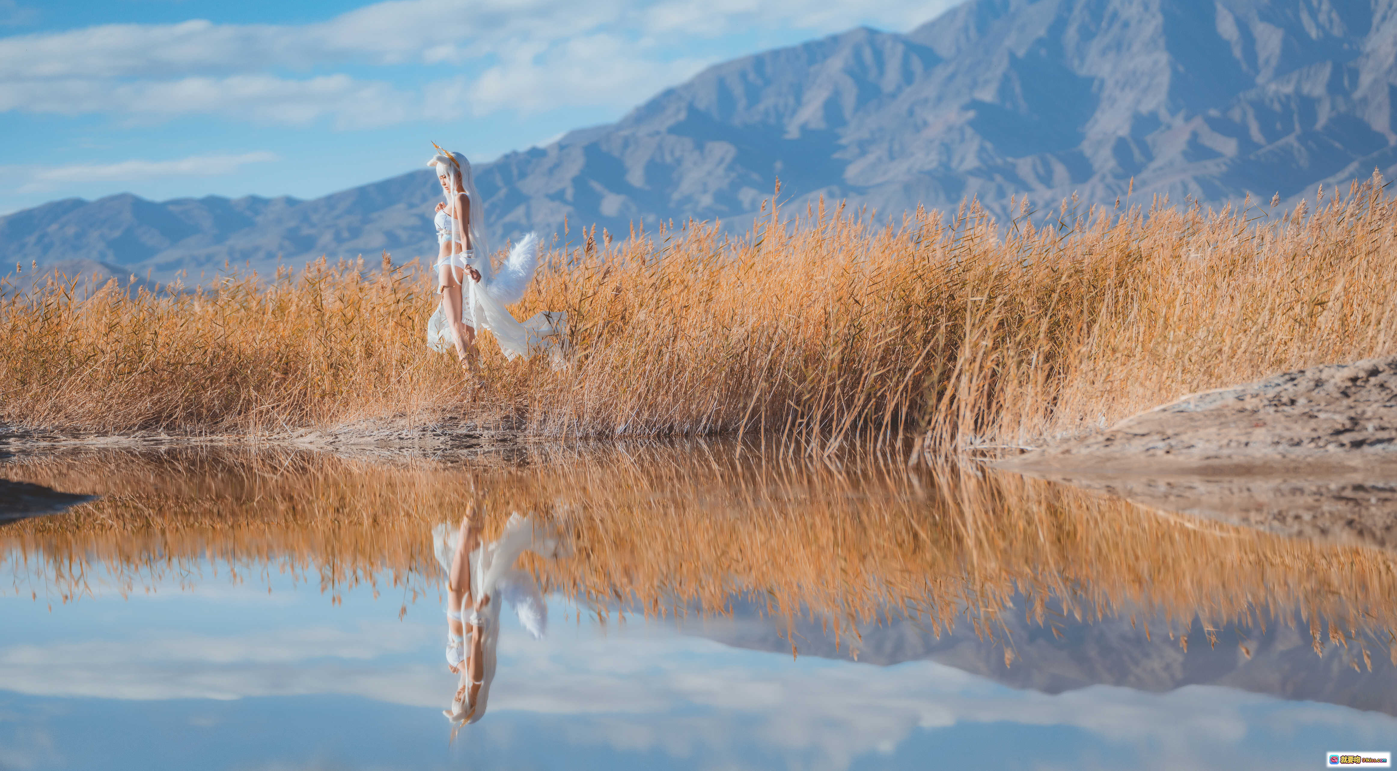 图片[9] - 桜桃喵白金cosplay明日方舟角色 金发猫耳皇冠蓝白裙装草原山景写真 - 就要吻