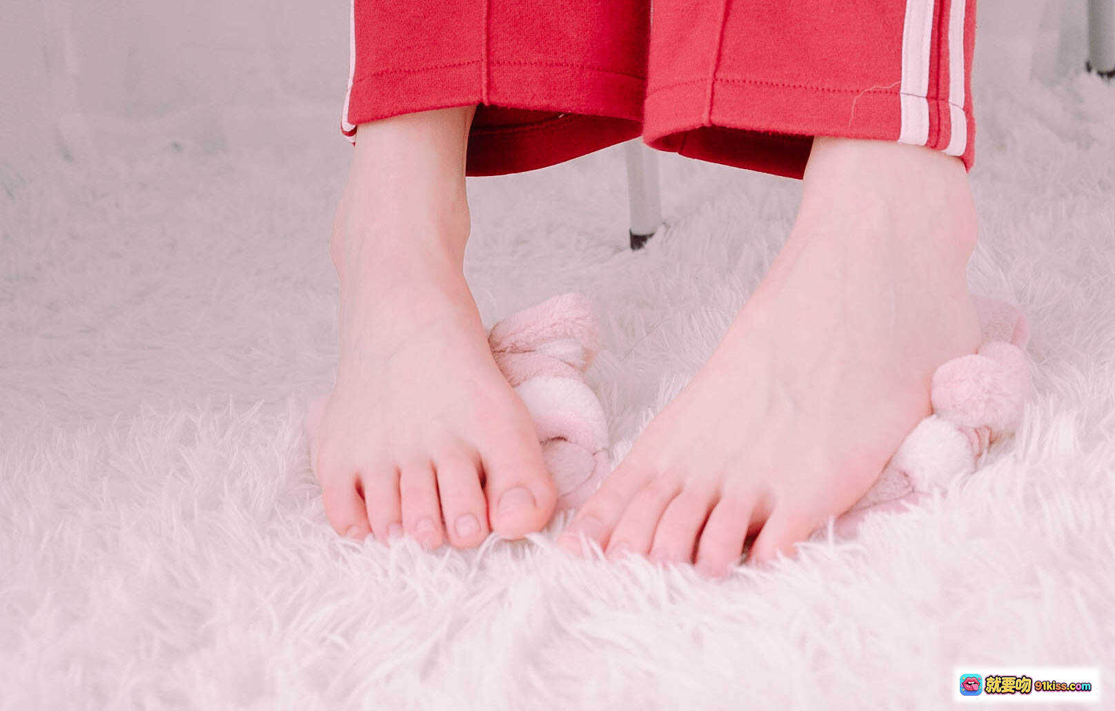 图片[1] - 眼酱大魔王w NO.007 裸足特写 粉色毛绒地毯 红色运动裤 白条纹 蝴蝶结黑丝 兽耳补丁 43P高清图集 - 就要吻