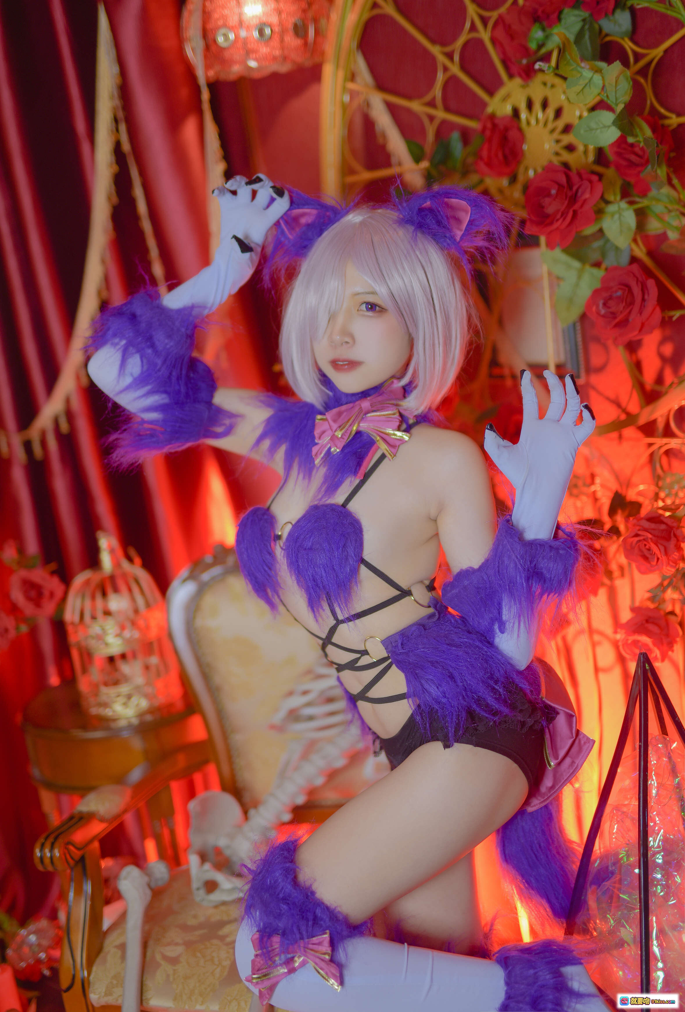 二佐Nisa NO.003 Fate玛修万圣节cosplay 紫色毛绒猫耳装 白发少女 暗黑系性感写真 红幕玫瑰背景 欧式复古风 23P高清图集 - 就要吻