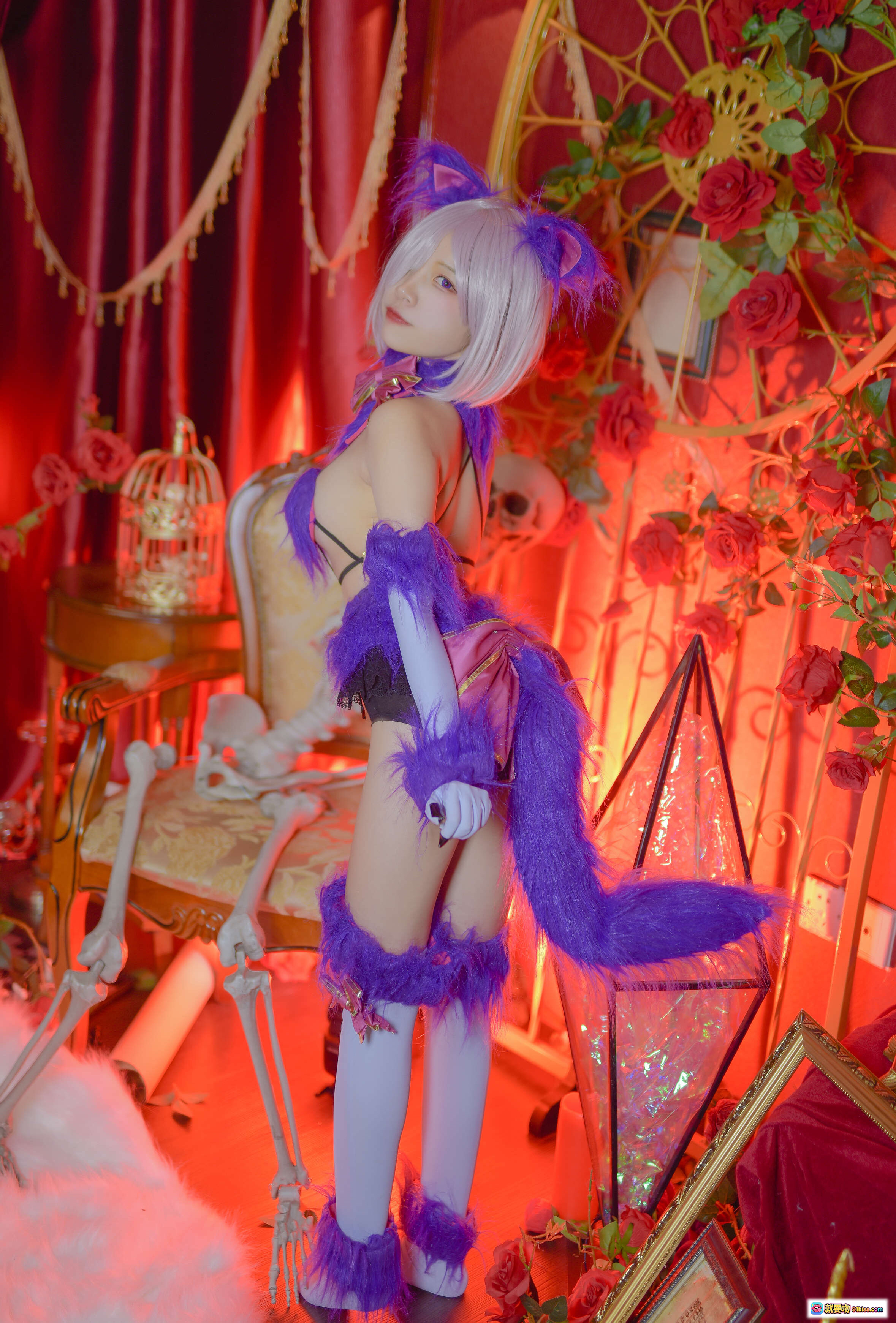 图片[2] - 二佐Nisa NO.003 Fate玛修万圣节cosplay 紫色毛绒猫耳装 白发少女 暗黑系性感写真 红幕玫瑰背景 欧式复古风 23P高清图集 - 就要吻