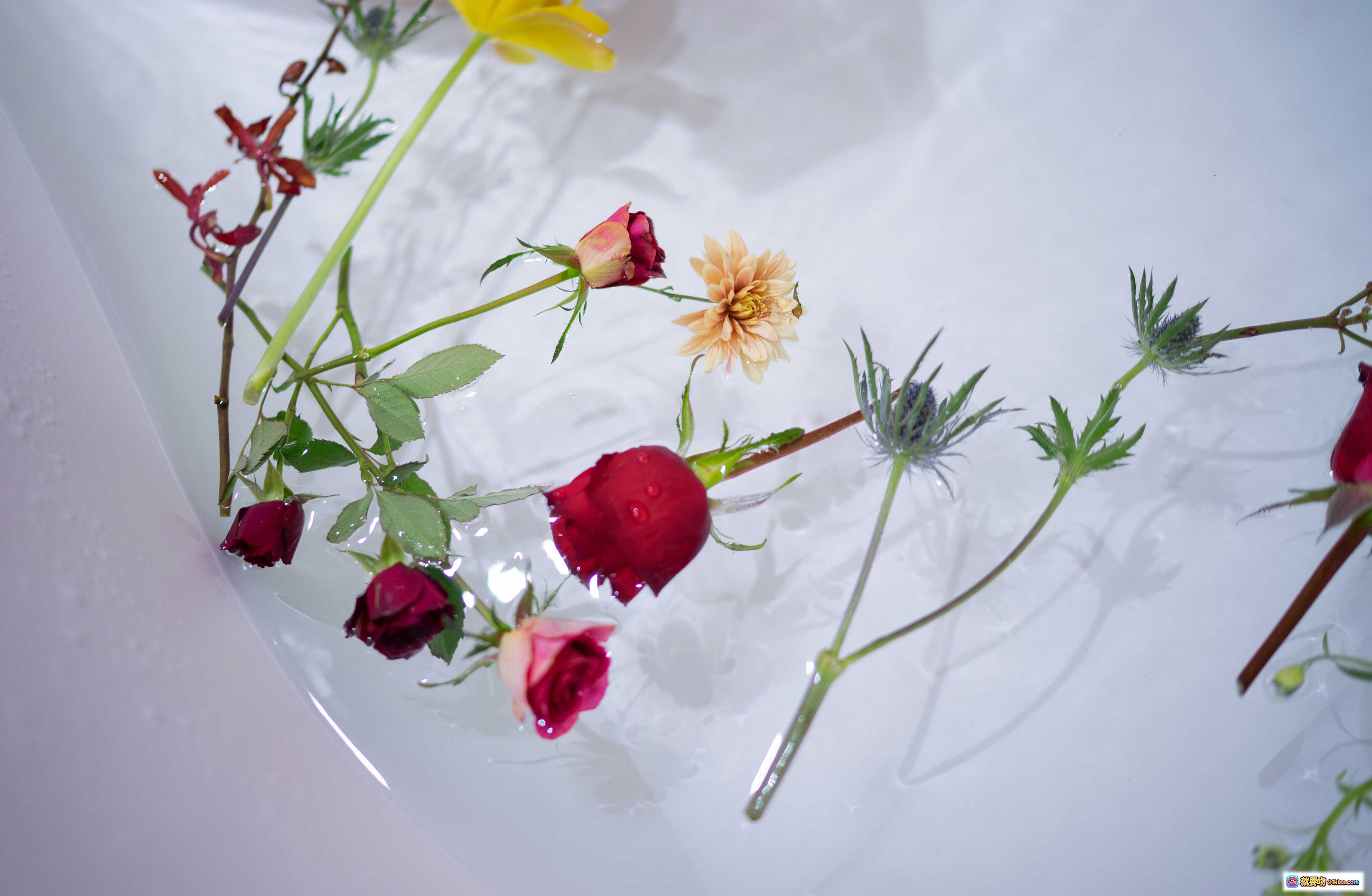 图片[10] - 黑川NO.030橙色泳衣浴缸写真 23P高清美图 优雅玫瑰点缀 柔美长发性感姿态 - 就要吻