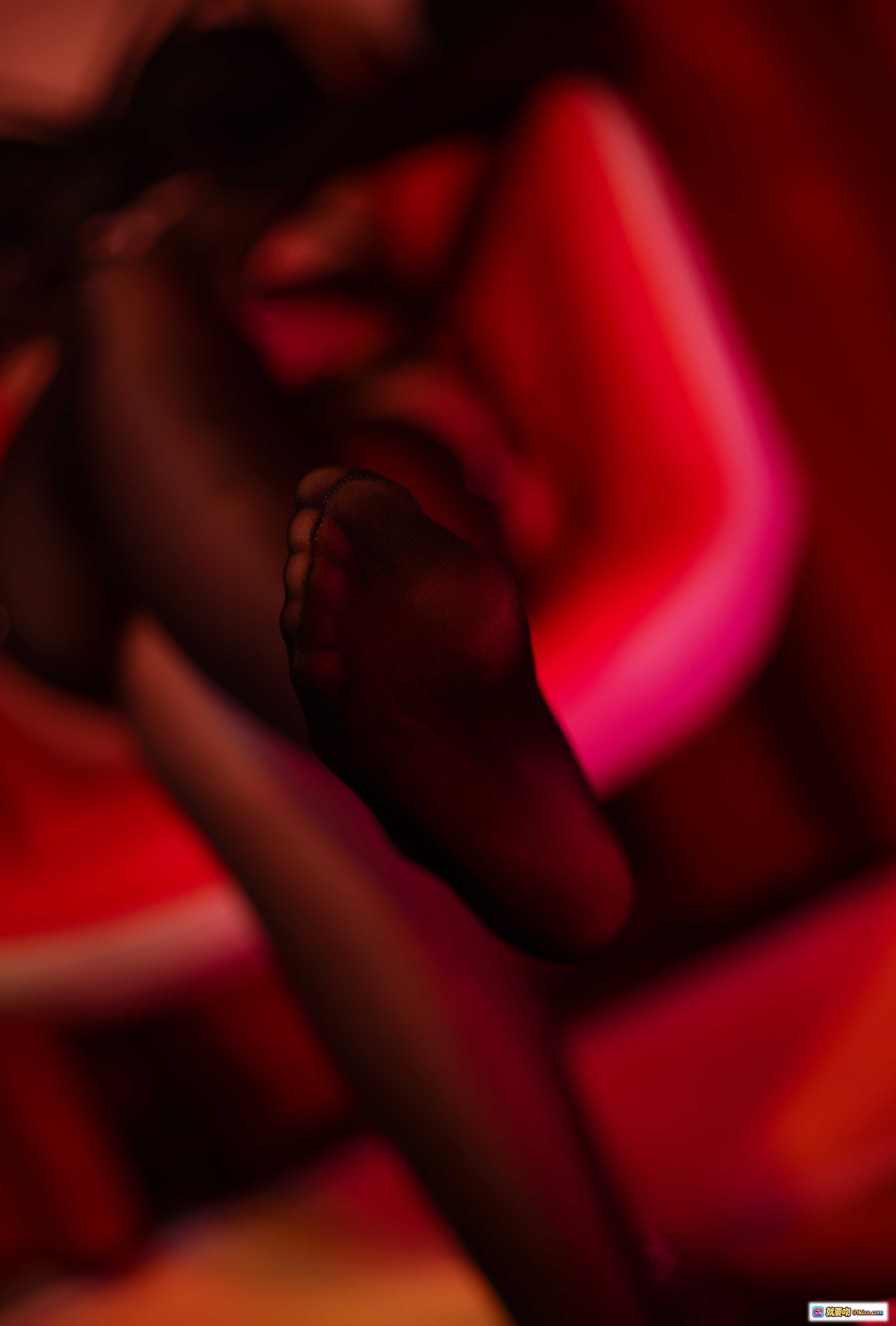 图片[6] - 曉美媽 NO.016 蝴蝶夫人 Cosplay 寫真 44P 462MB 銀髮黑絲蕾絲內衣 情趣造型 粉紫光影床拍 - 就要吻