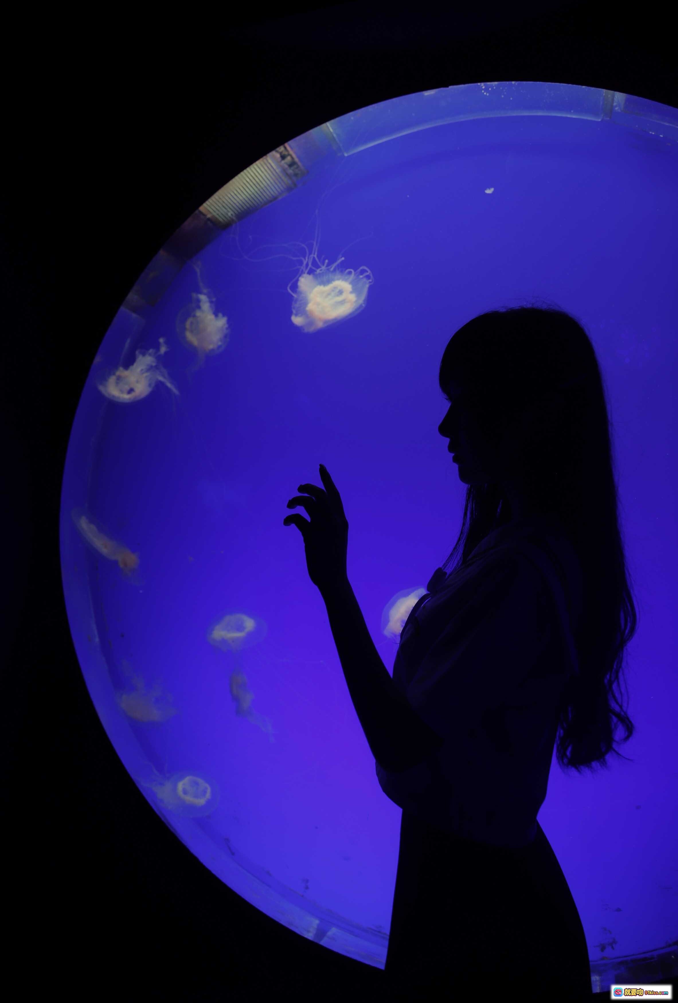 图片[3] - Shika小鹿鹿NO.073生日写真 | 黑色碎花连衣裙楼梯窗边优雅姿势 | 65P高清美图 - 就要吻