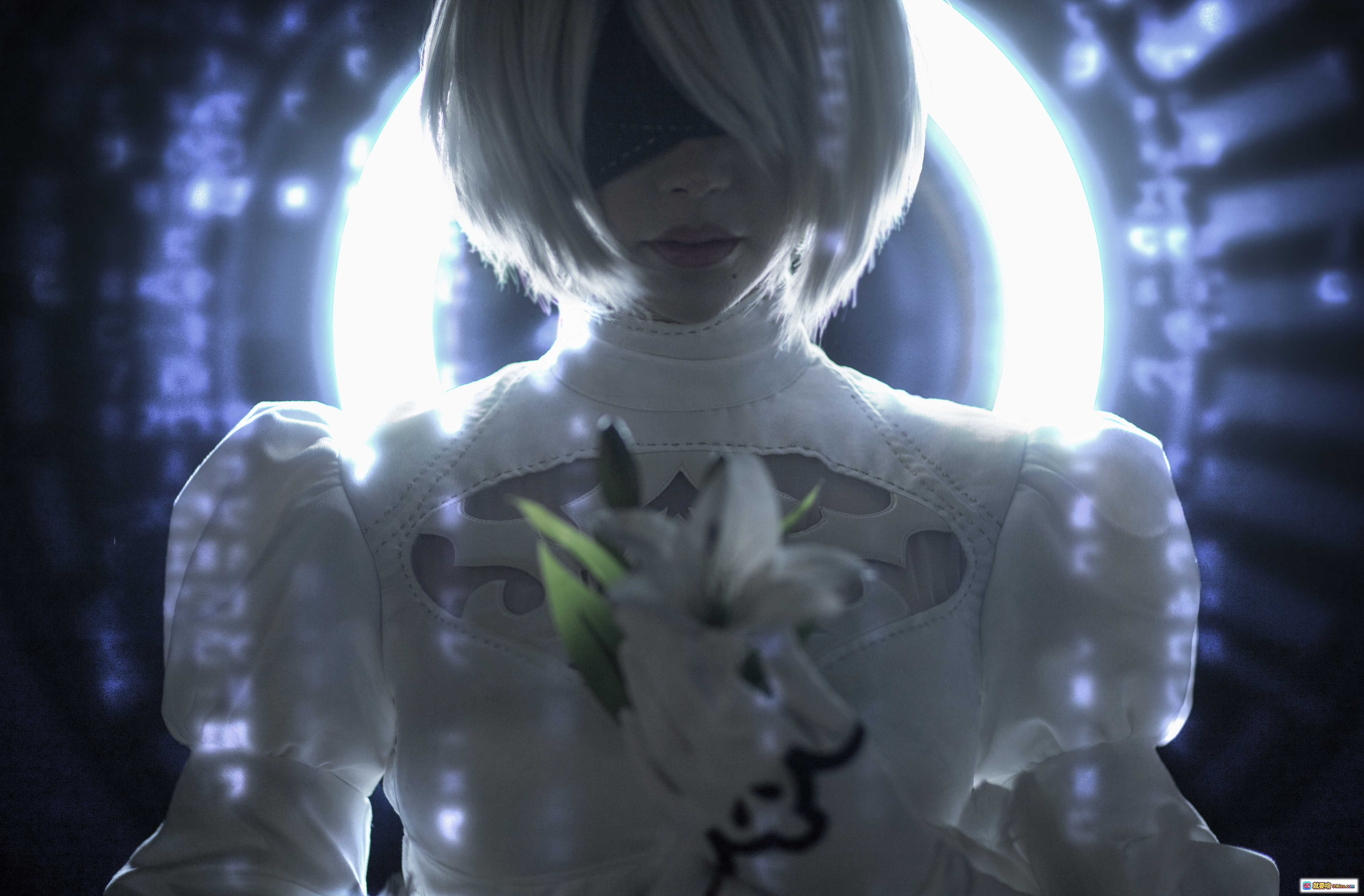 图片[8] - Sayathefox NO.015 2B白裙Cosplay写真 优雅银发少女 黑白配色暗黑风 地面躺姿艺术摄影 高清10P图集 - 就要吻