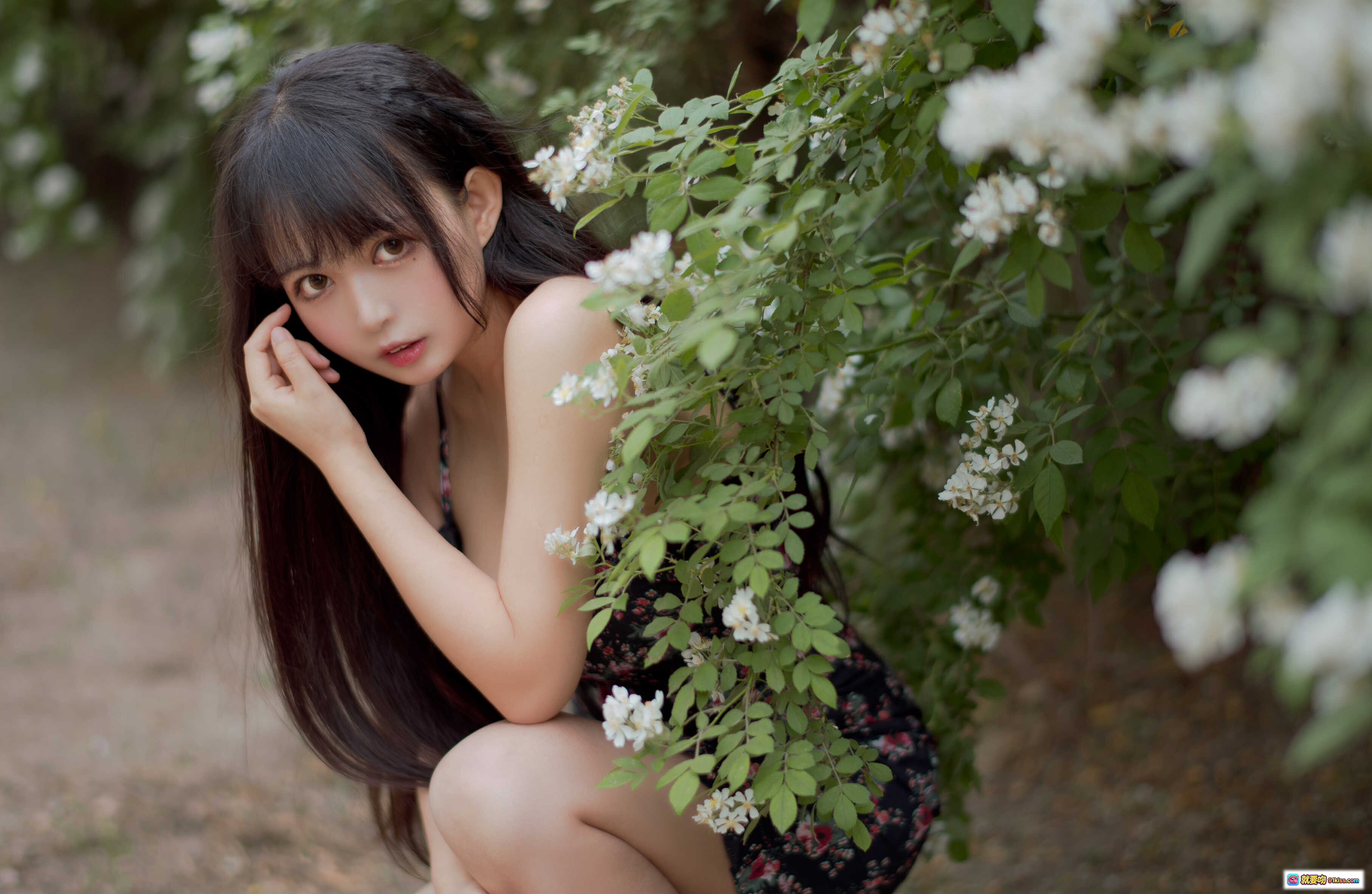 黑猫猫OvO NO.022 蔷薇花丛少女写真 22P高清美图 自然光下清纯甜美风 长发女孩花间蹲姿摄影集 - 就要吻