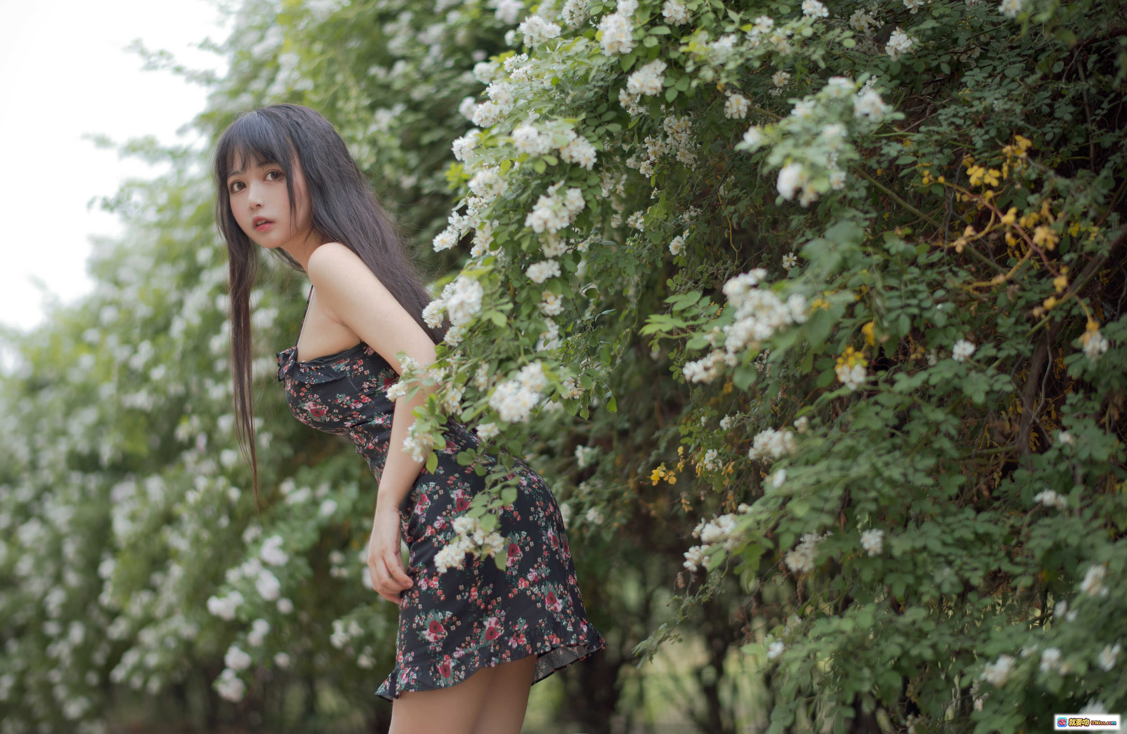 图片[4] - 黑猫猫OvO NO.022 蔷薇花丛少女写真 22P高清美图 自然光下清纯甜美风 长发女孩花间蹲姿摄影集 - 就要吻