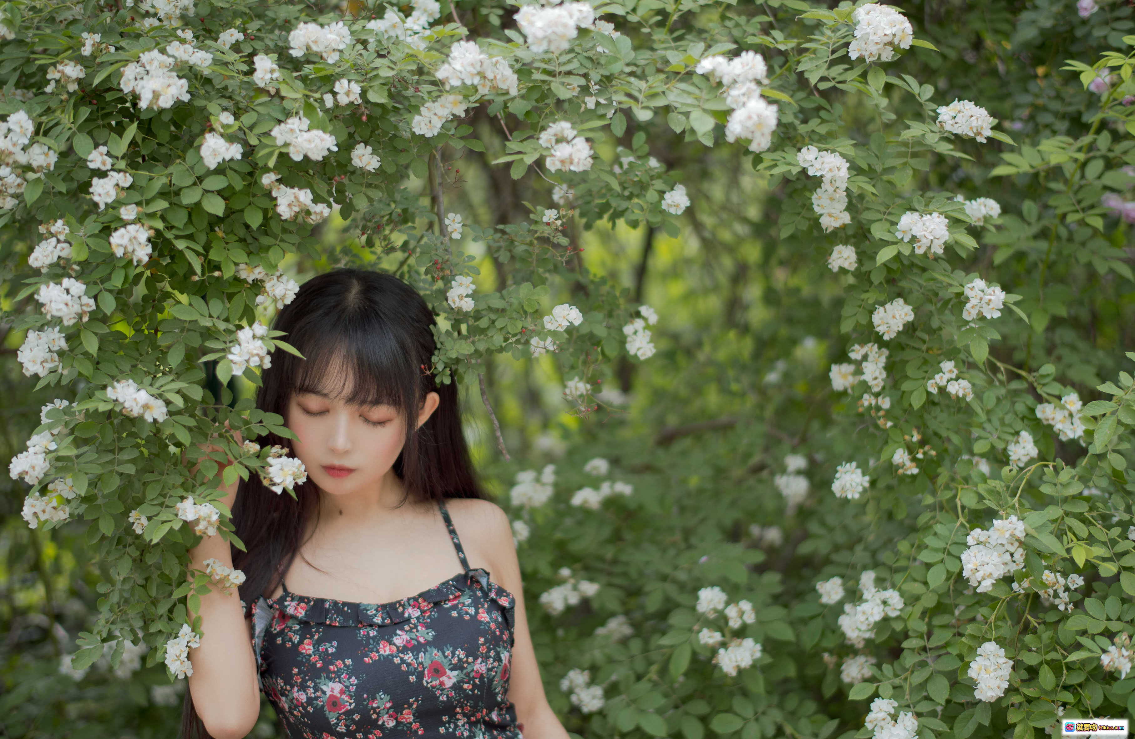 图片[2] - 黑猫猫OvO NO.022 蔷薇花丛少女写真 22P高清美图 自然光下清纯甜美风 长发女孩花间蹲姿摄影集 - 就要吻