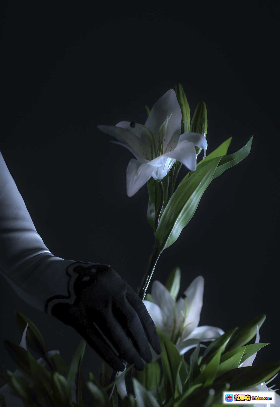 图片[3] - Sayathefox NO.014 2B Floral Cosplay 白发百合花造型 精致妆容 黑白手套 优雅侧颜 超清写真集 - 就要吻