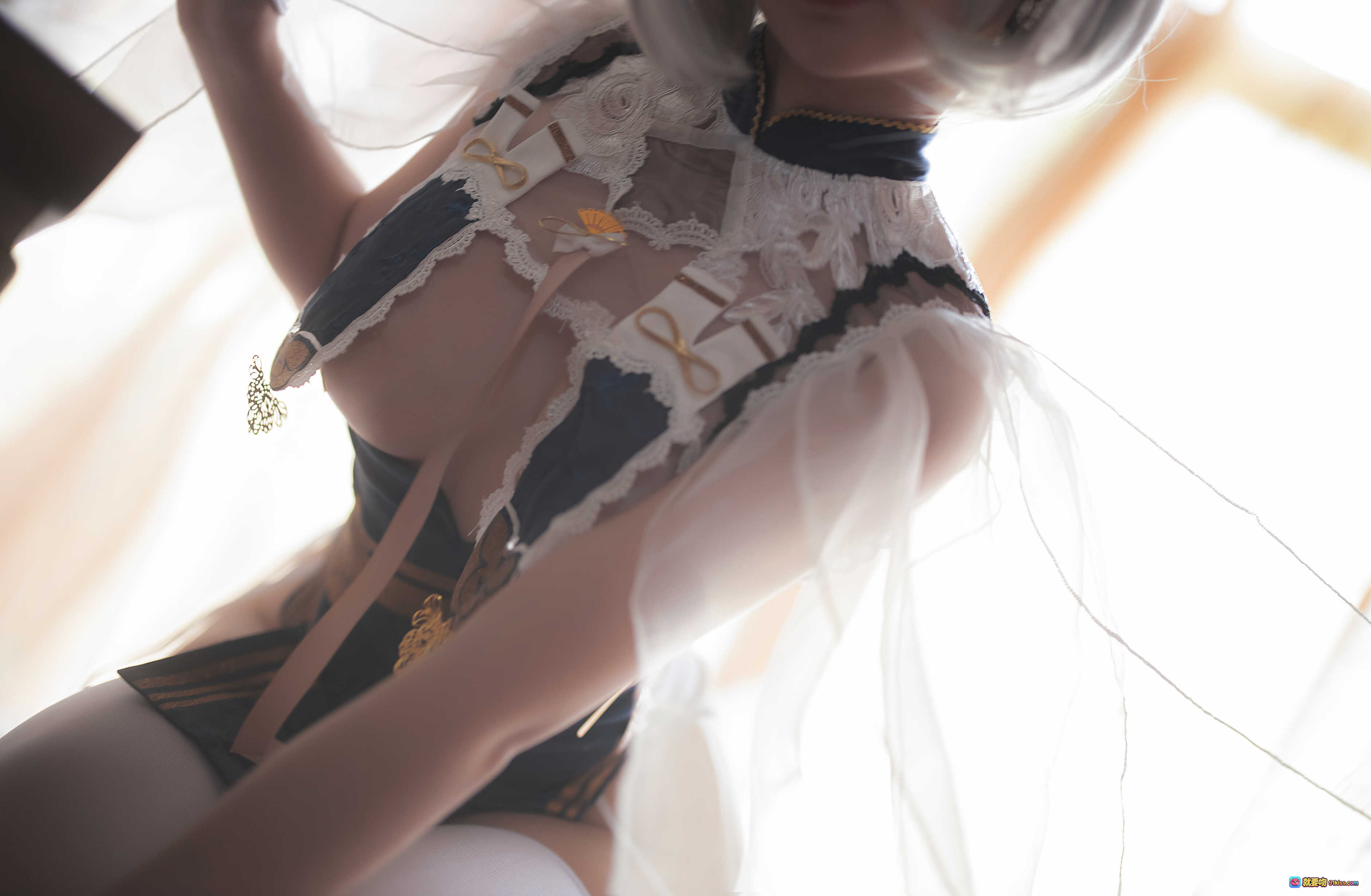 樱落酱NO.014旗袍天狼星写真集｜蕾丝透视高开叉性感Cosplay｜白发少女优雅姿态20P高清图包 - 就要吻