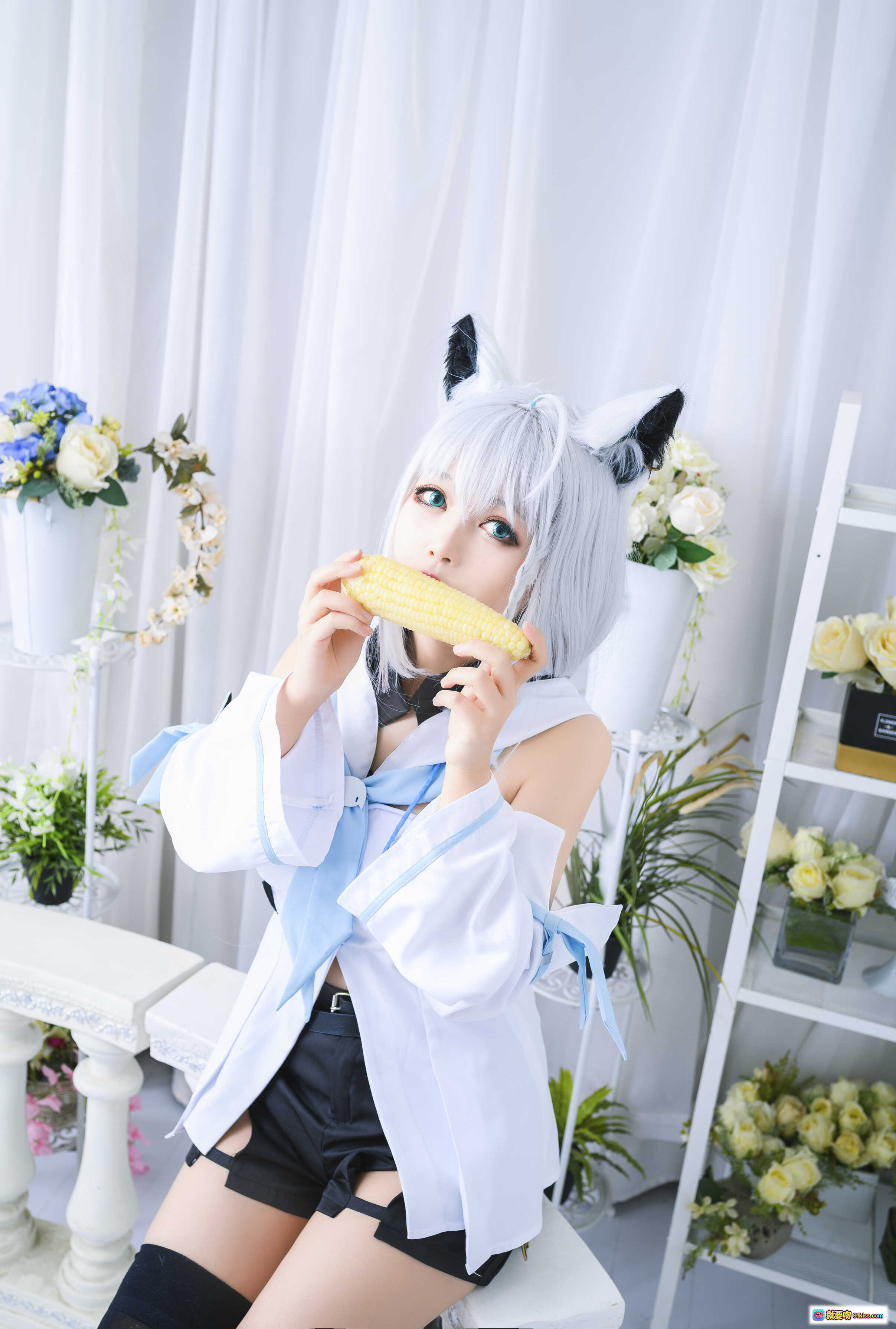 图片[3] - 白上吹雪Cosplay写真｜黑猫猫OvO NO.015｜银发猫耳少女｜黑丝长靴｜室内花艺布景｜12P高清图集 - 就要吻