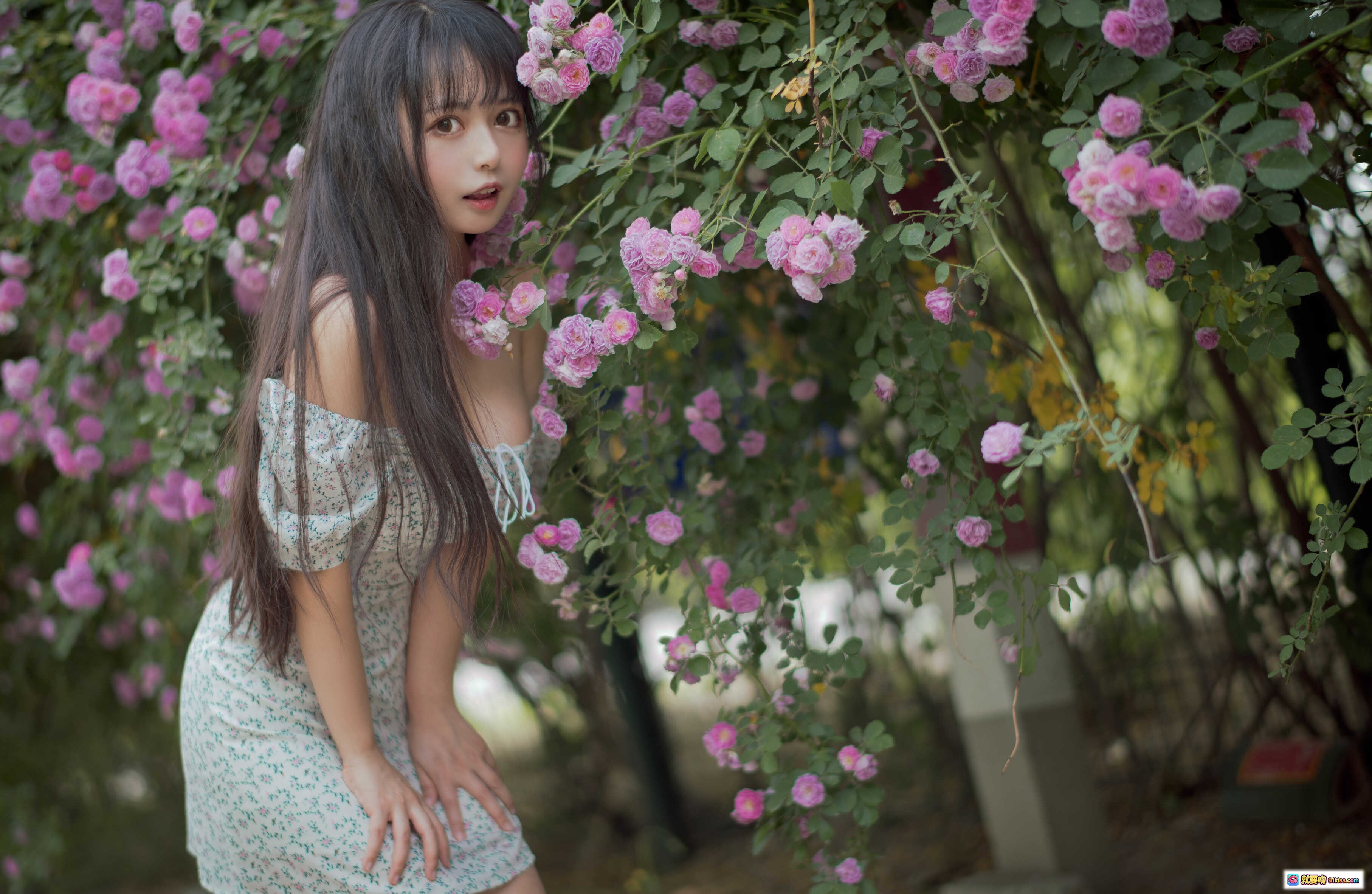 图片[3] - 黑猫猫OvO NO.023 蔷薇2写真 | 清新少女花园外拍 | 碎花裙温柔侧颜 | 自然光柔美氛围 | 27P高清图集 - 就要吻