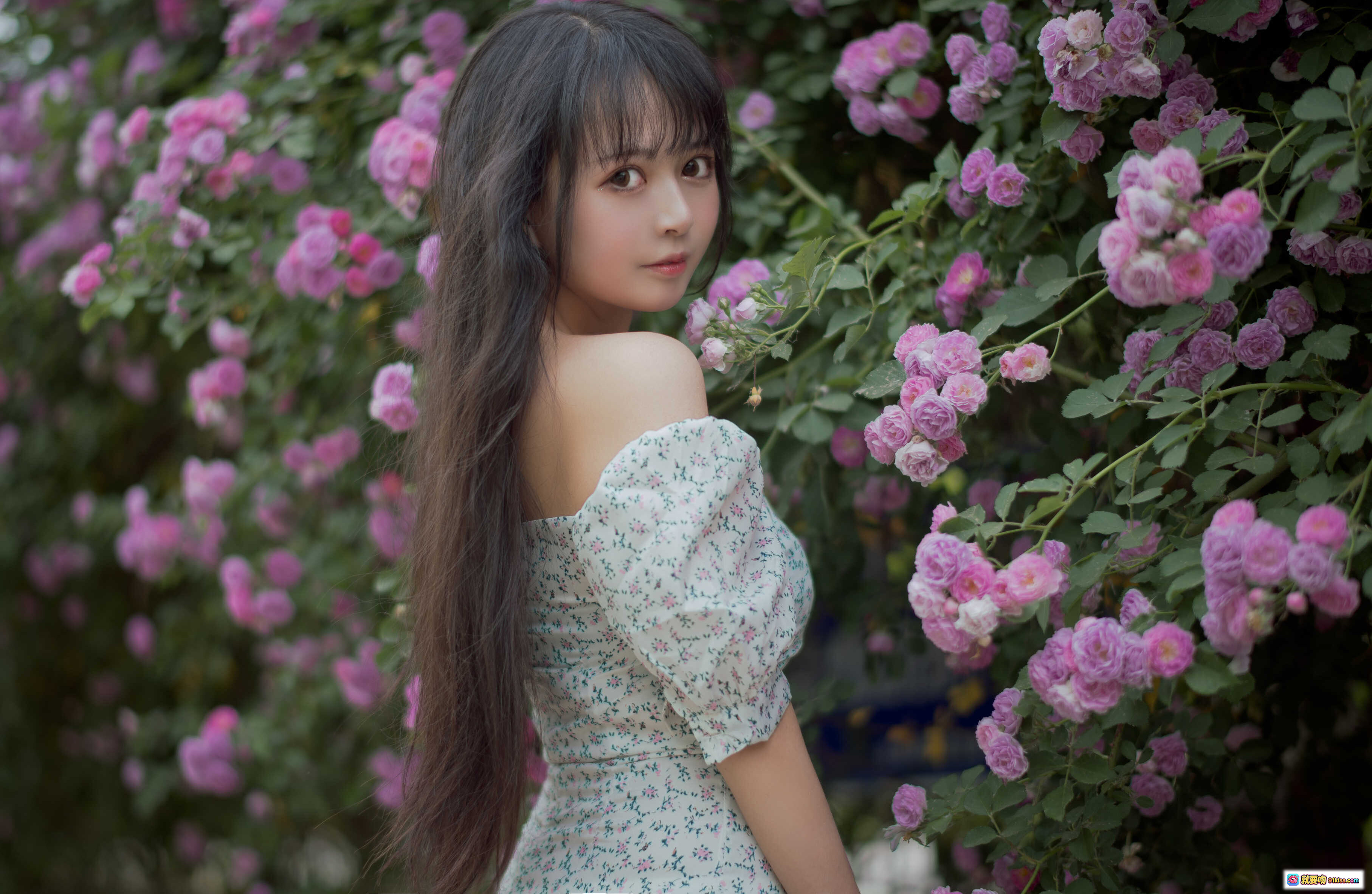 图片[5] - 黑猫猫OvO NO.023 蔷薇2写真 | 清新少女花园外拍 | 碎花裙温柔侧颜 | 自然光柔美氛围 | 27P高清图集 - 就要吻