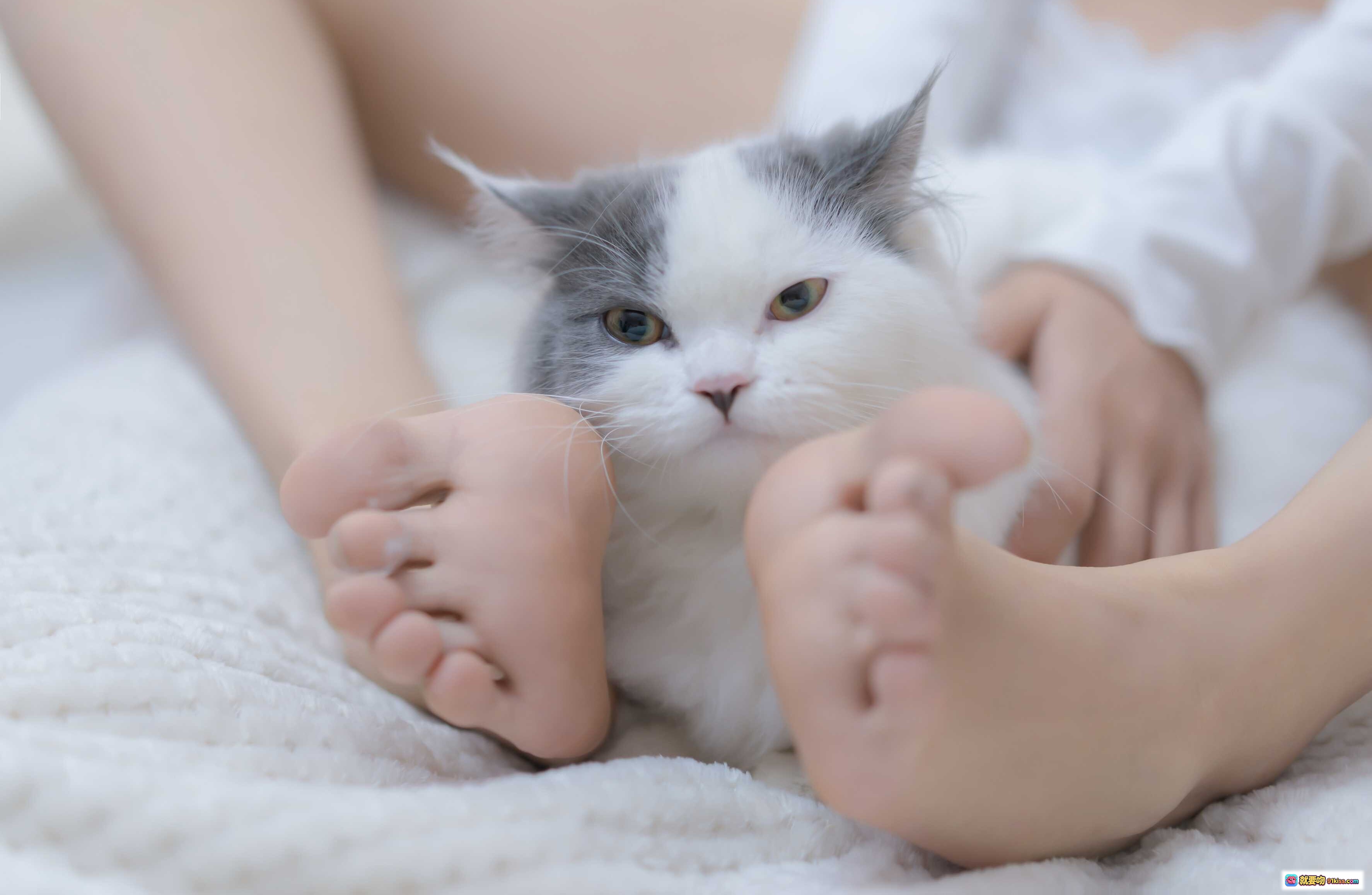 图片[3] - 过期米线线喵115米线 我和猫 90P高清写真 白色系少女抱猫私房照 清新甜美居家风 无视频纯图包 - 就要吻