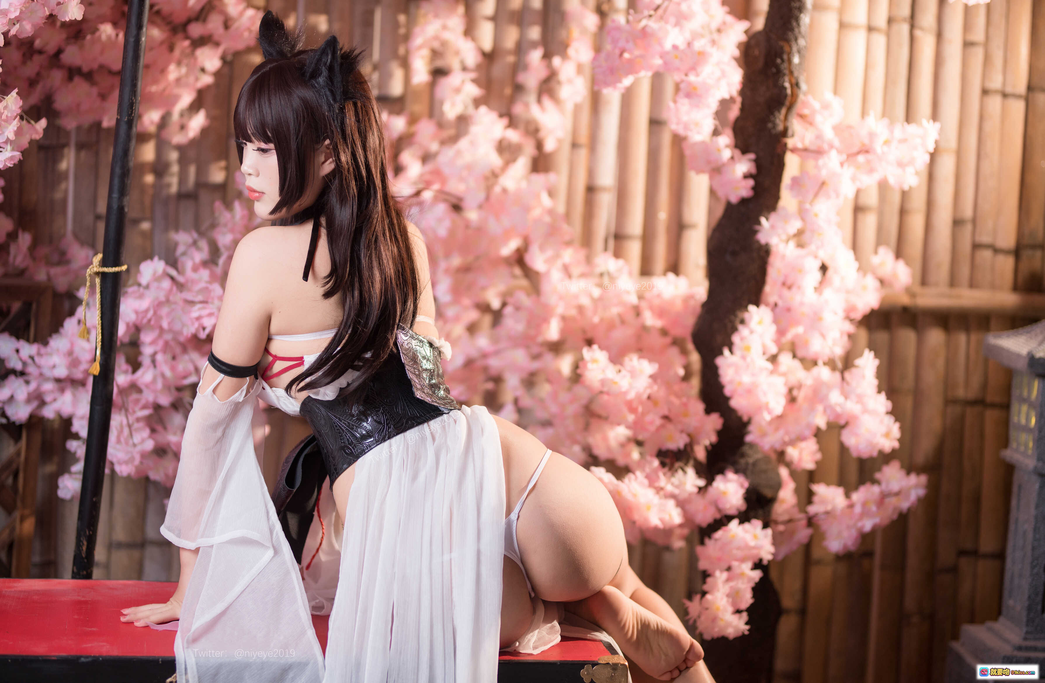图片[2] - 白烨VOL.036猫耳湿身泳装写真｜樱花背景日系性感Cosplay｜61P高清美图 - 就要吻