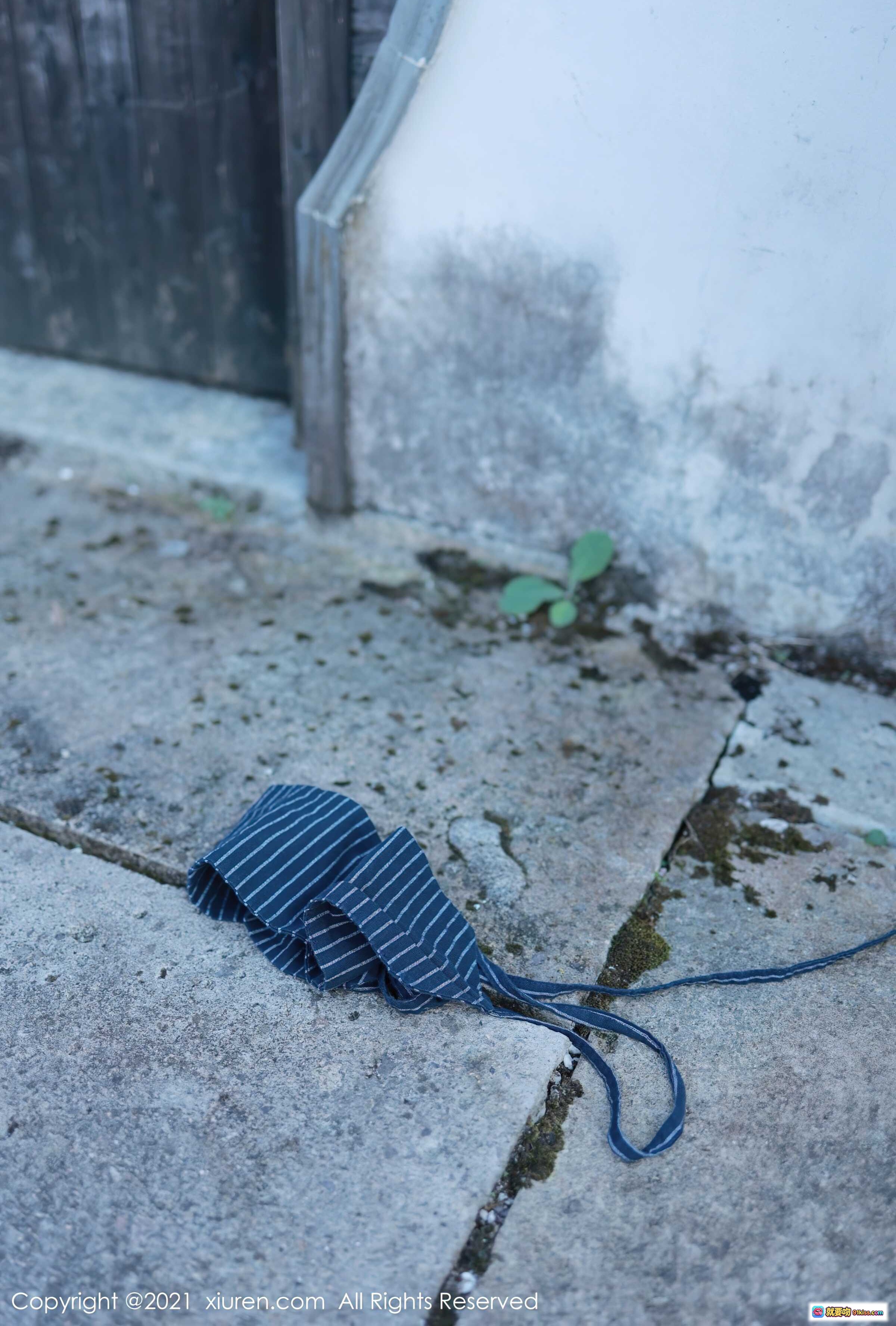 图片[8] - 李雅柔和风写真｜深蓝底花卉仙鹤图案浴衣｜日式木门背景｜优雅古典美人｜秀人网No.4032高清图集 - 就要吻