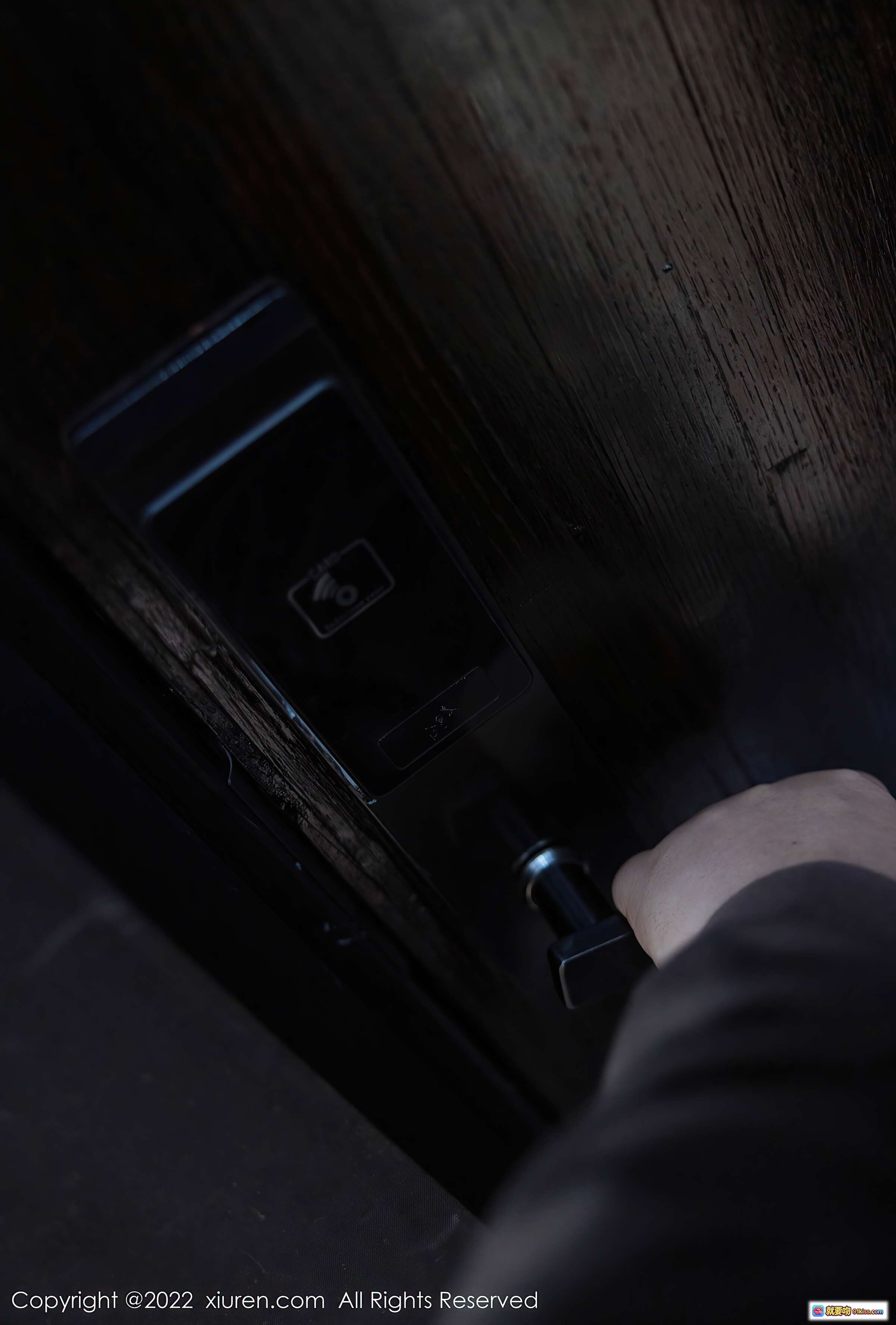 图片[2] - 绮里嘉ula黑丝写真｜红玫瑰花束暗黑风场景｜XiuRen秀人网2022.01.21 NO.4498女神大片 - 就要吻