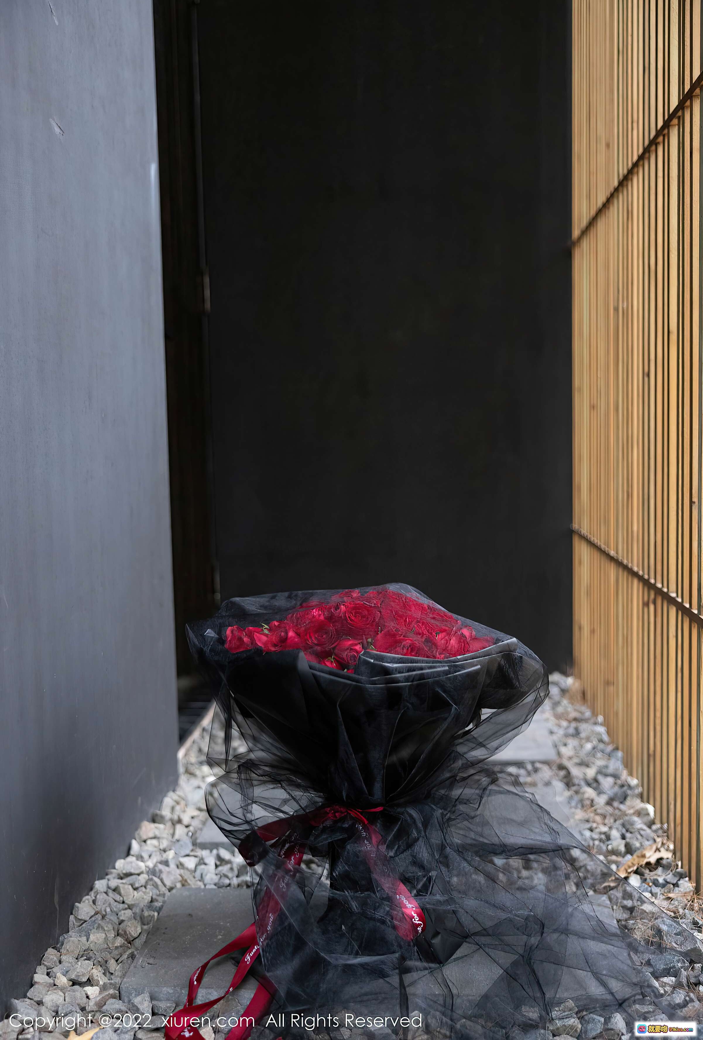 图片[1] - 绮里嘉ula黑丝写真｜红玫瑰花束暗黑风场景｜XiuRen秀人网2022.01.21 NO.4498女神大片 - 就要吻