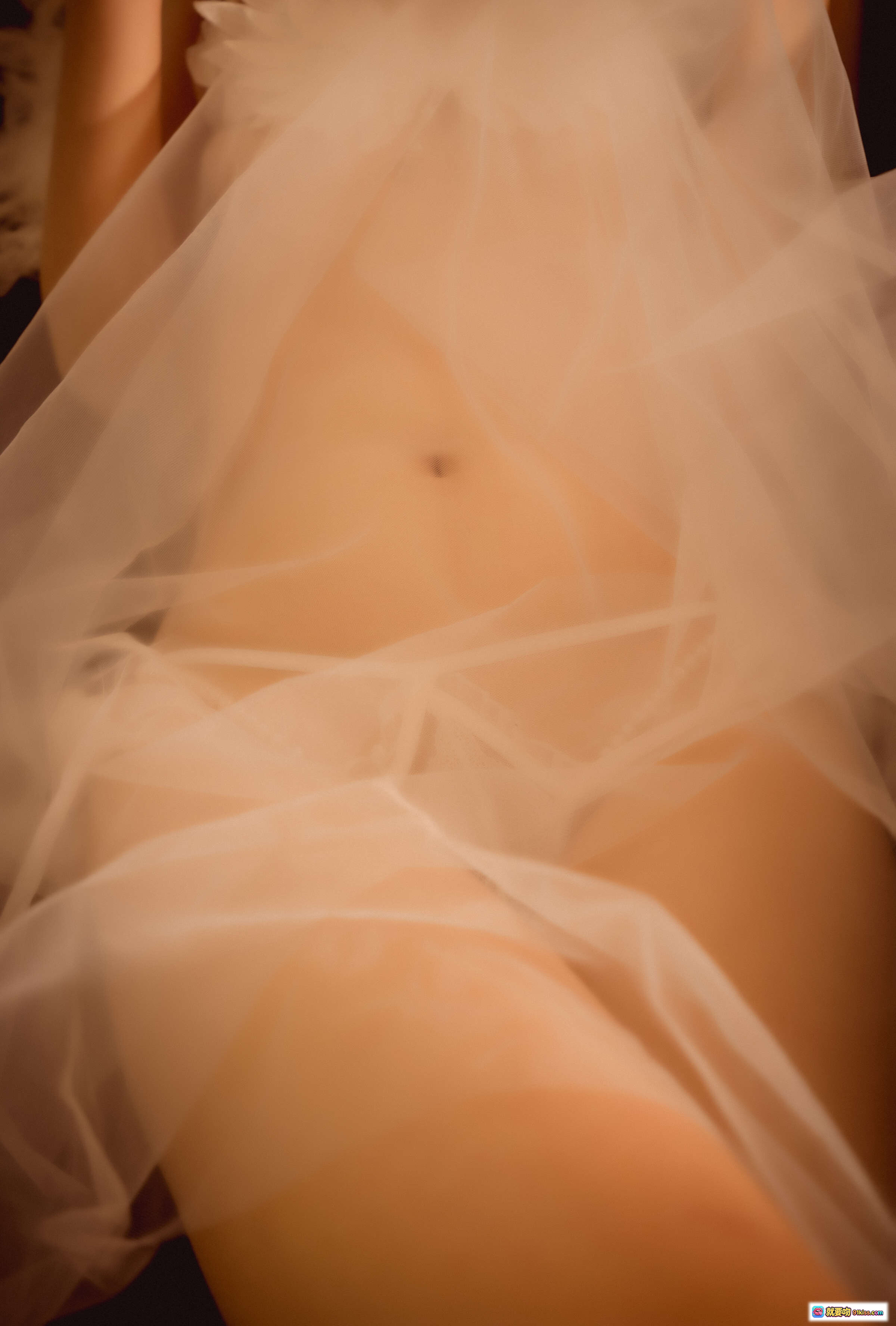 图片[10] - 北哥cos花嫁写真42P｜高质量蕾丝内衣朦胧光影性感美背私房摄影 - 就要吻